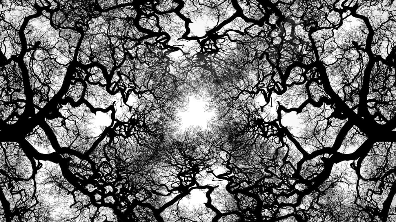 black and white tree, twisted tree branches, symmetrical black and white pattern, HD Desktop Wallpaper