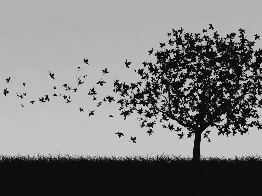 black and white tree, silhouette of a tree, falling leaves, SD Desktop Wallpaper
