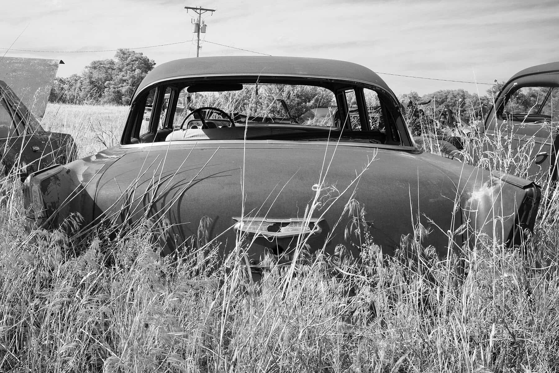 vintage car, abandoned, tall grass, HD Desktop Wallpaper