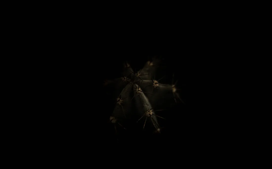 Black Android