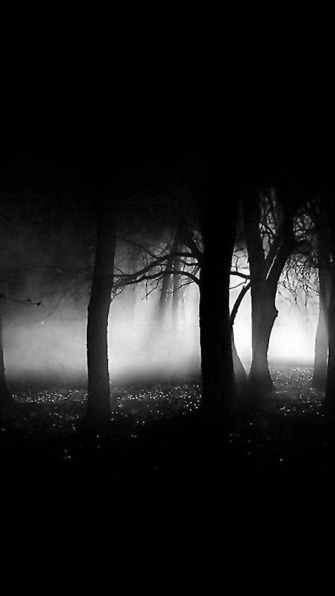Black Android, creepy forest, misty forest, Full HD Phone Wallpaper