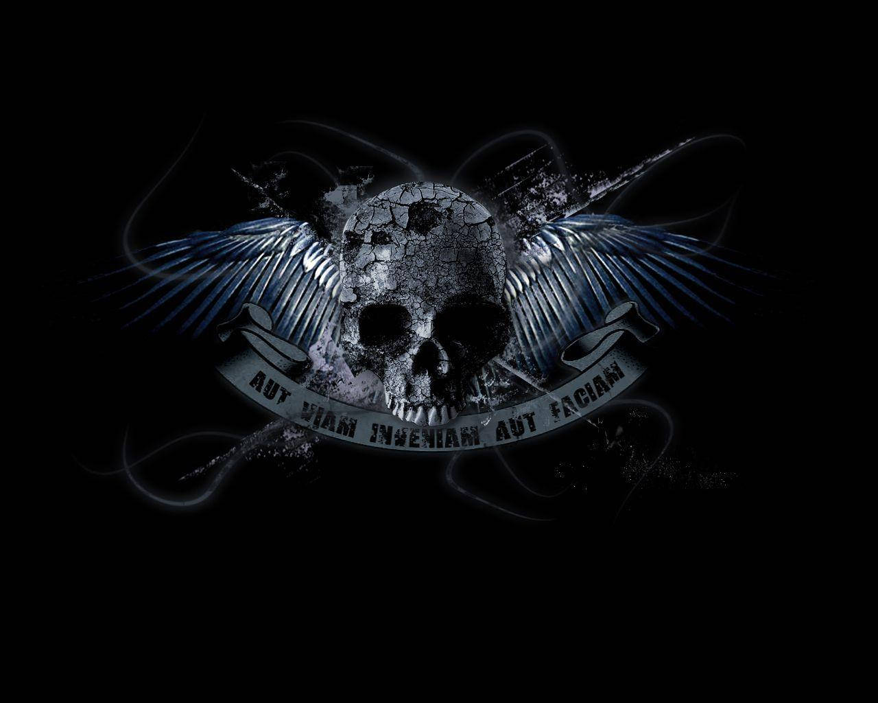 skull, black angel wings, blue glowing wings, HD Desktop Wallpaper