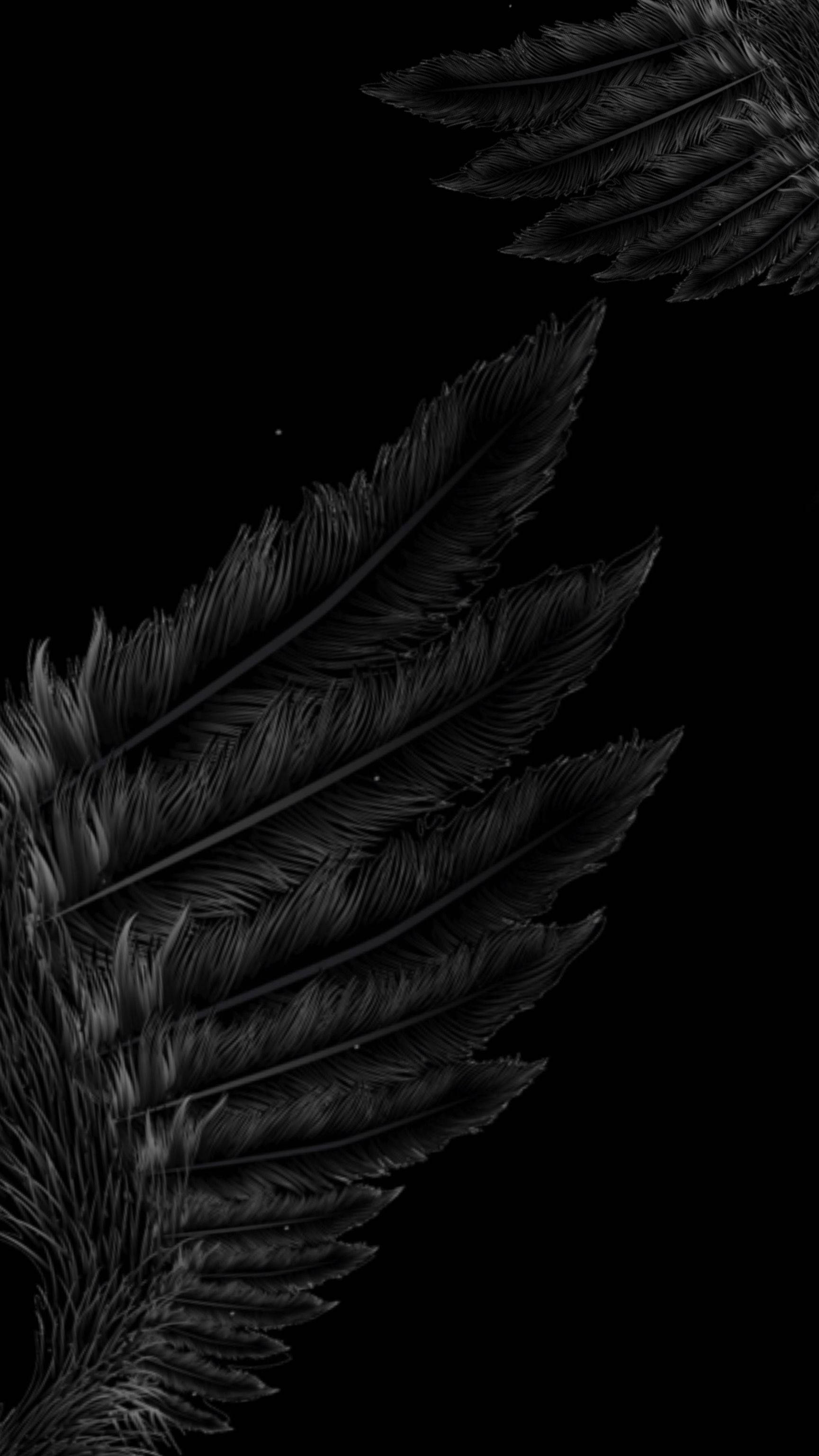 black angel wings, elegant black feathered wings, deep void background, 2K Phone Wallpaper