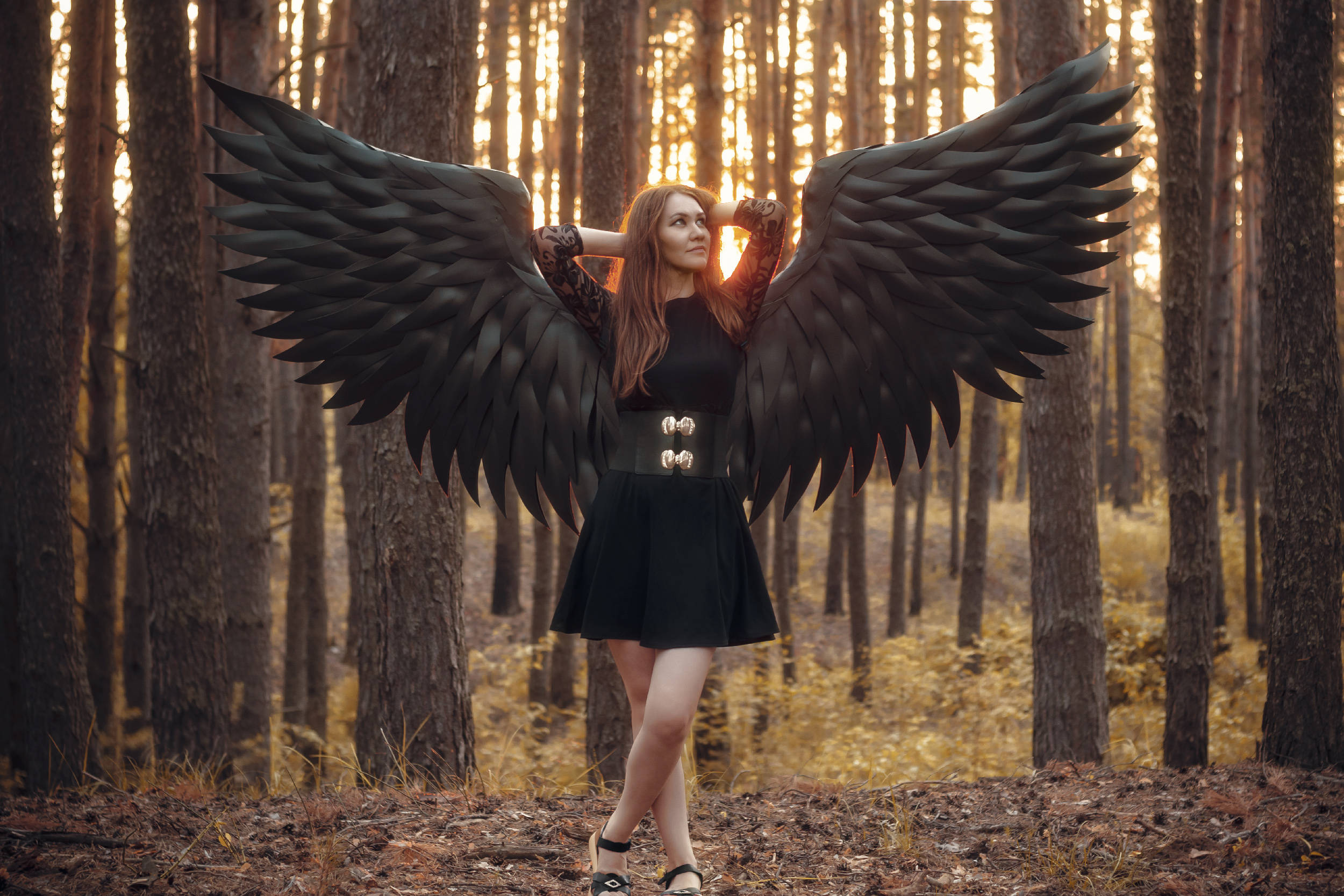 Forest Woman, black feathered wings, sunlit forest, Full HD Desktop Wallpaper