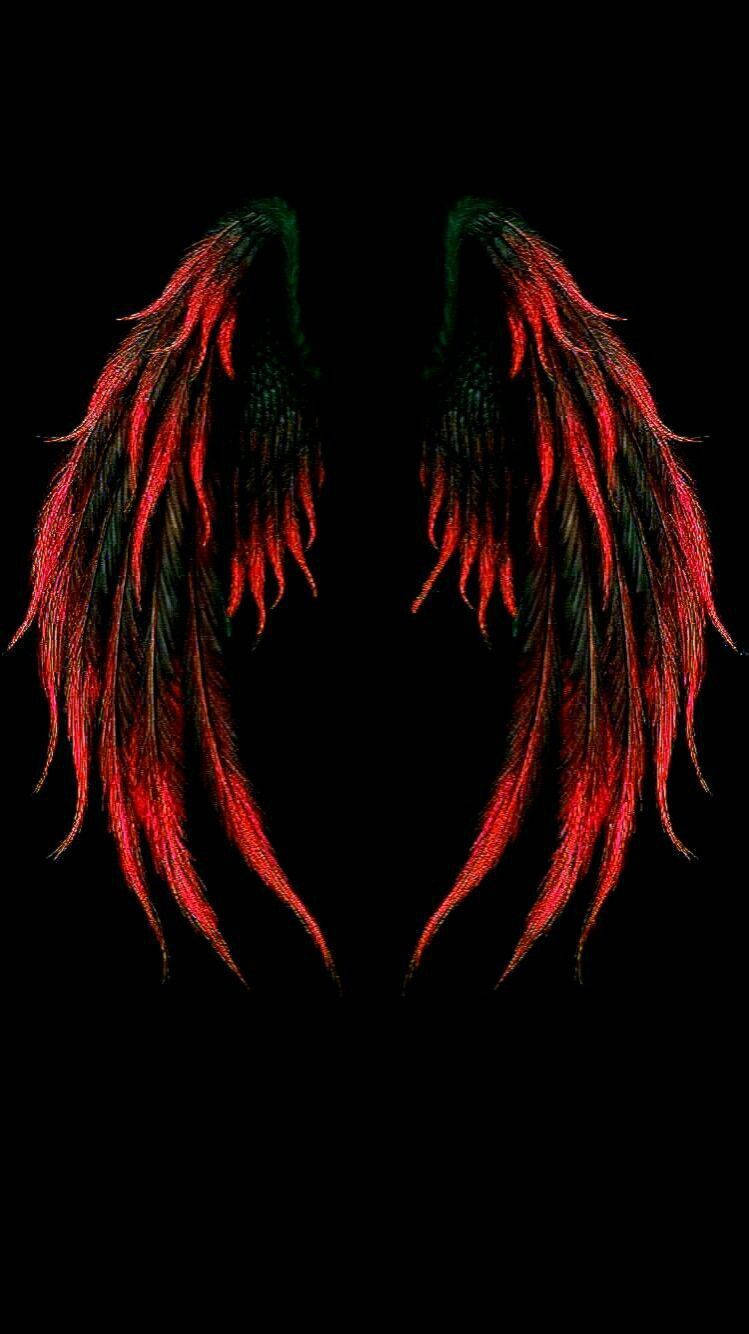red and black angel wings, feathered wings, pure black background, HD Phone Wallpaper
