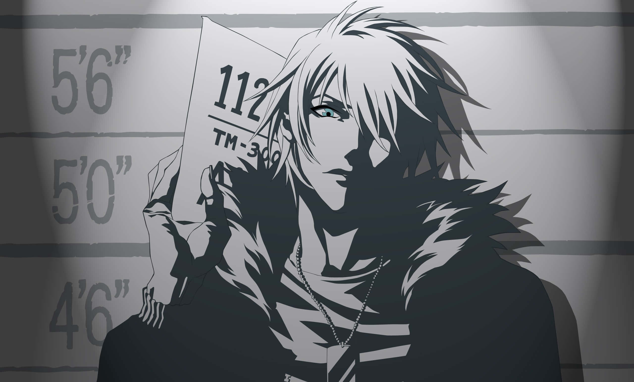 Black Anime Aesthetic PC, spiky white hair, mugshot card, 2K Desktop Wallpaper