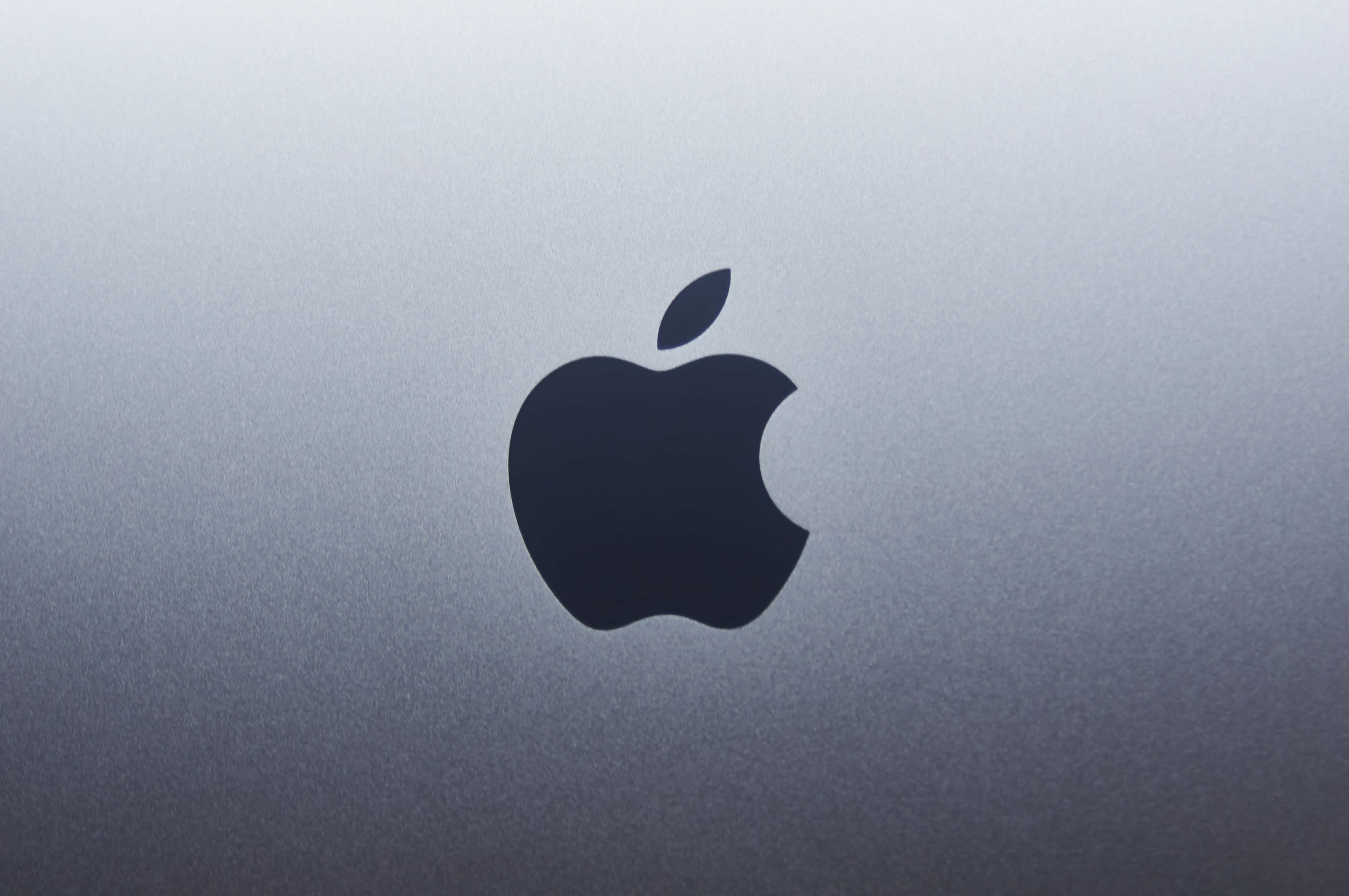 Black Apple Logo, gradient gray tones, brushed metallic laptop lid, 4K Desktop Wallpaper