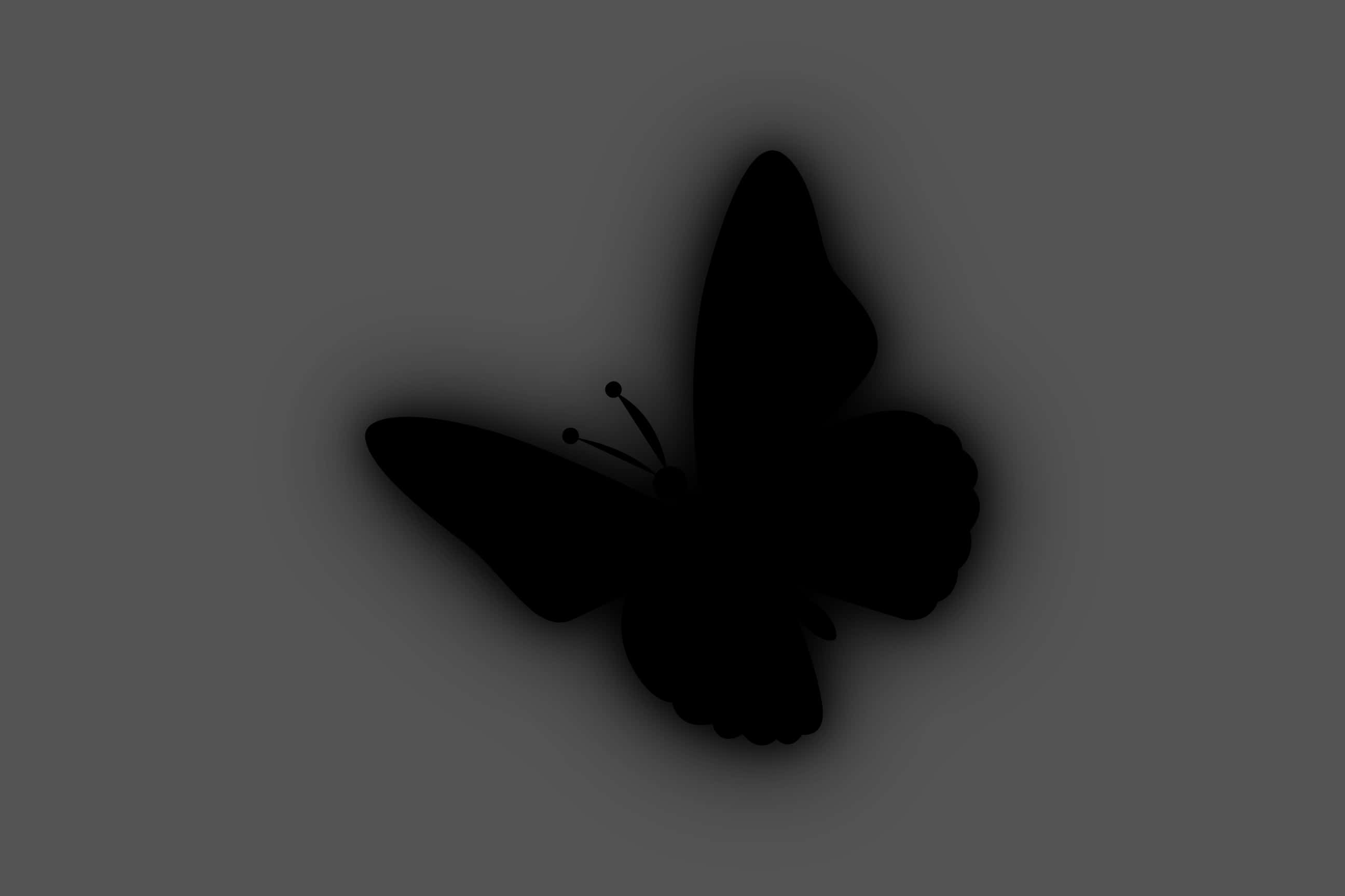 black butterfly silhouette, muted gray background, soft shadow gradient, 2K Desktop Wallpaper