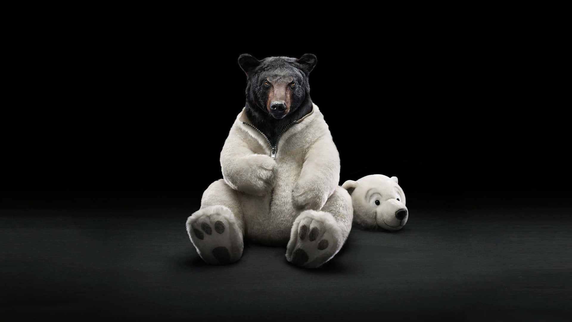 black bear, white fleece jacket, small white teddy bear, Full HD Desktop Wallpaper