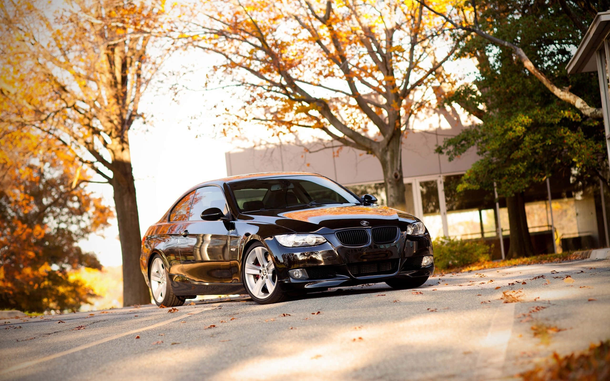 BMW, 335, Black, 2K Desktop Wallpaper