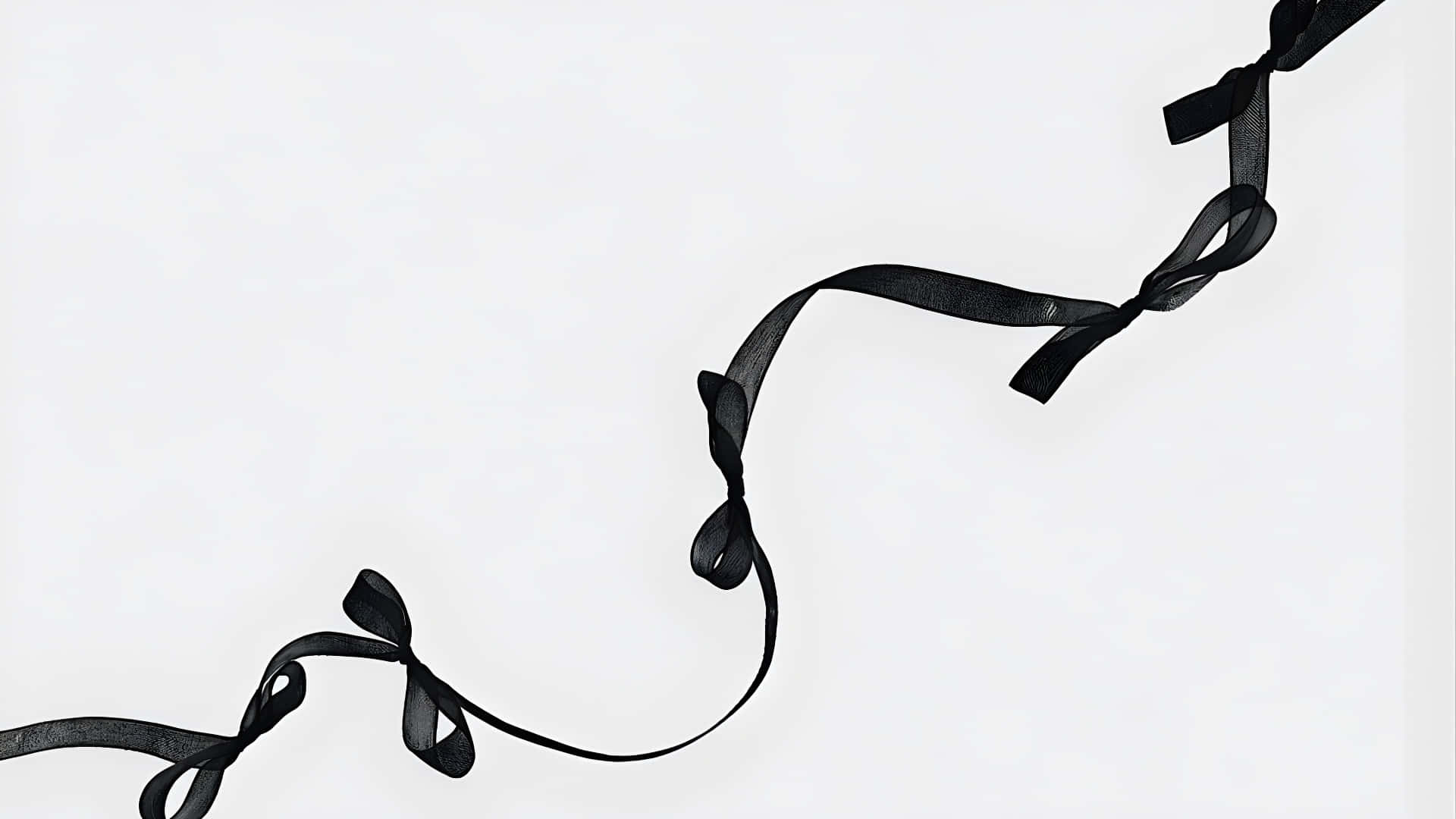 elegant black ribbon bow, black satin ribbon, tied bows, Full HD Desktop Wallpaper
