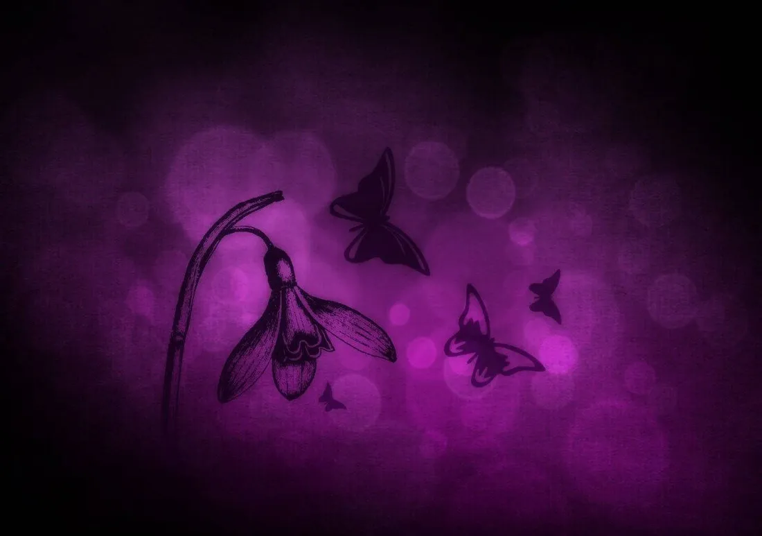 Black Butterfly