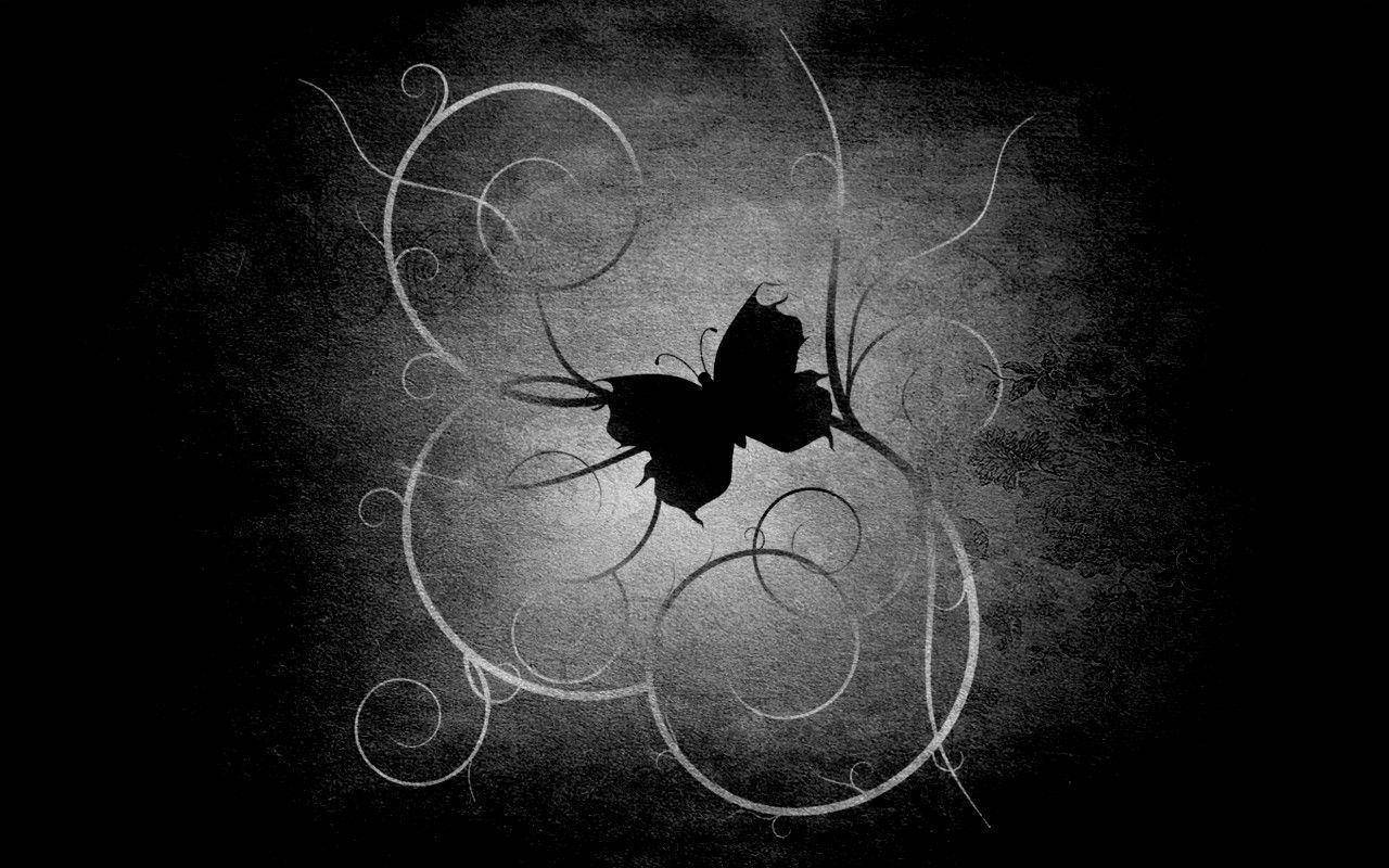 Black Butterfly, curvy abstract lines, swirling white ornamental vines, HD Desktop Wallpaper