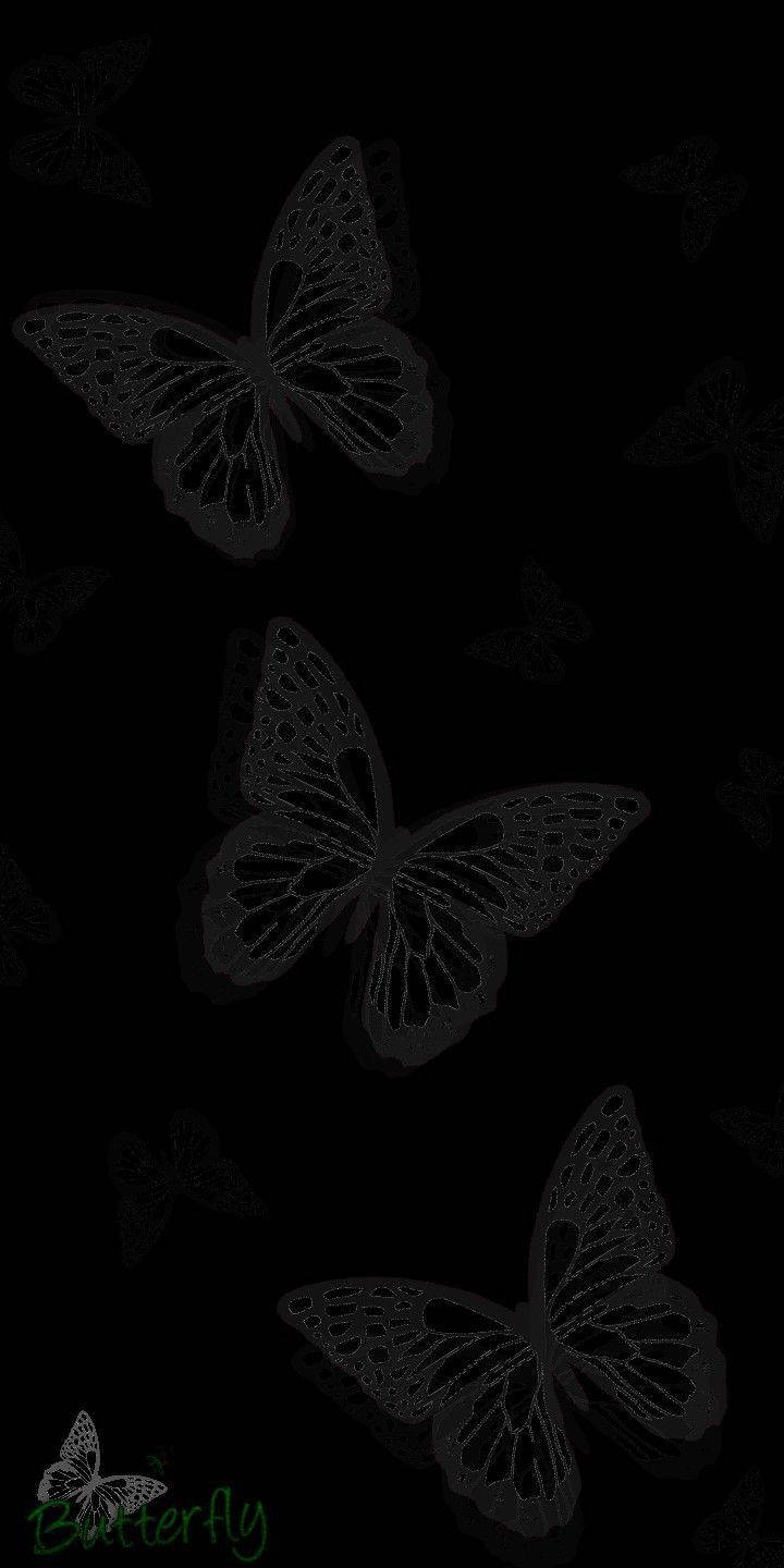 Black Butterfly, dark butterflies, intricate wing patterns, HD Phone Wallpaper