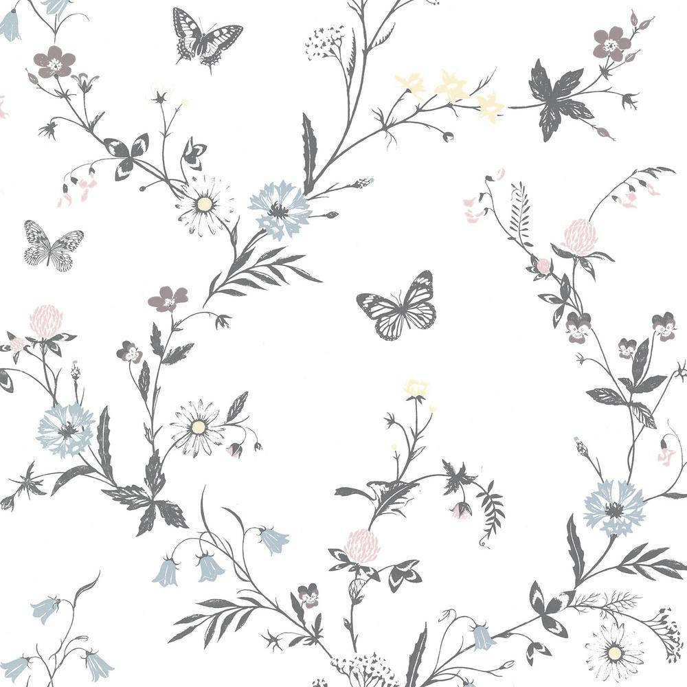 Black Butterfly, floral vines, butterflies, SD Desktop Wallpaper