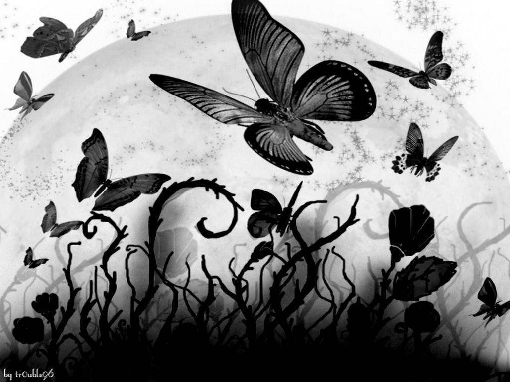 Black Butterfly, abstract plants, textured moon, SD Desktop Wallpaper