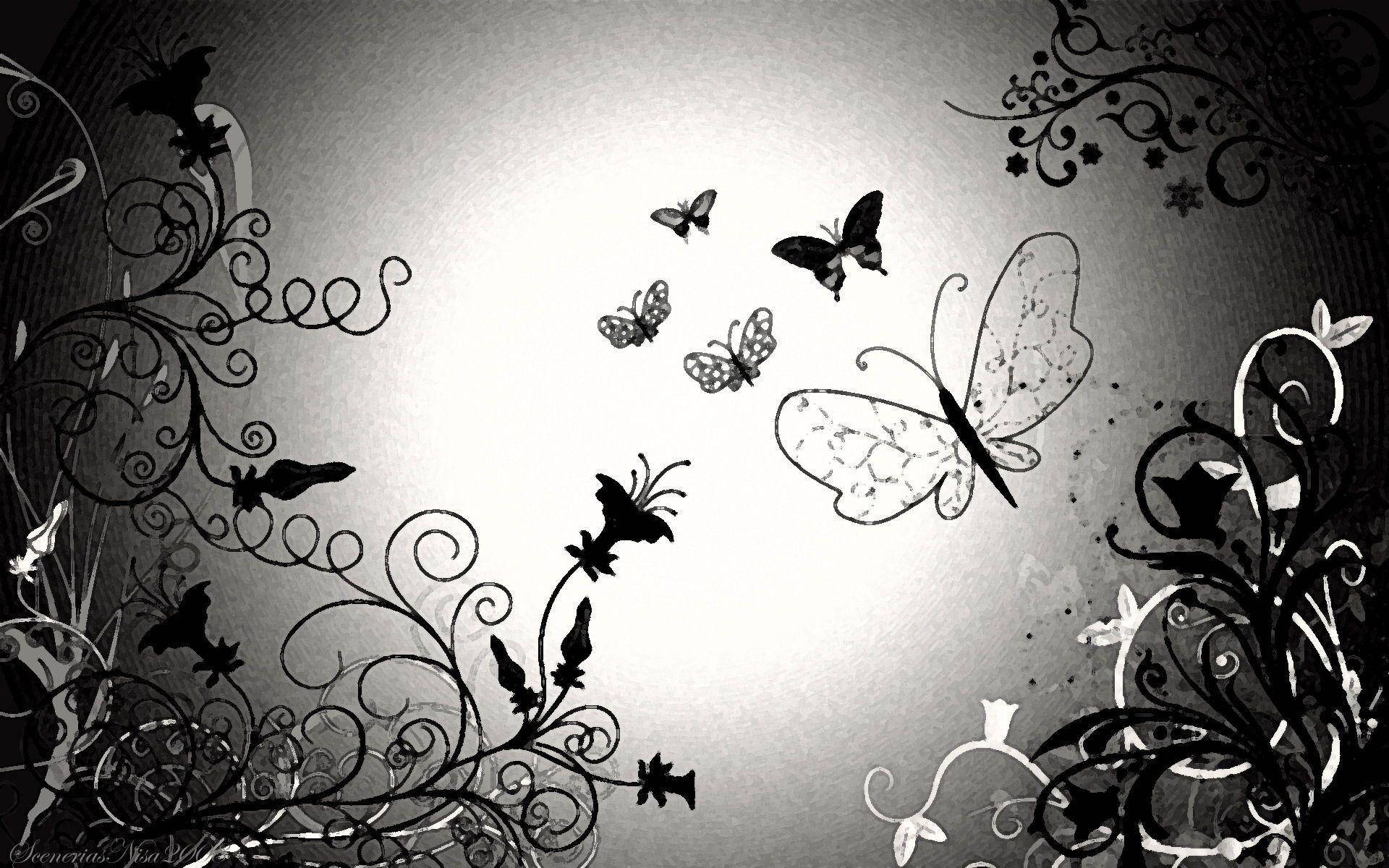 Black Butterfly, black and white butterflies, ornate swirling vines, Full HD Desktop Wallpaper