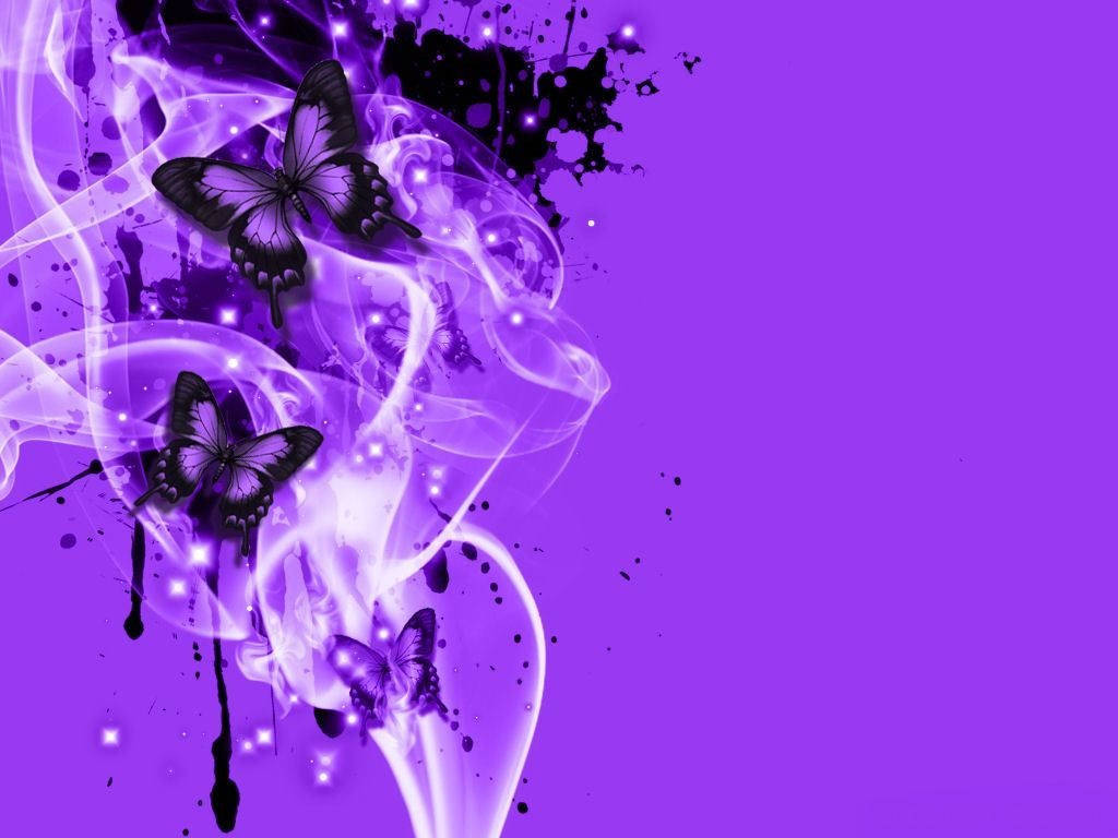 Black Butterfly, purple abstract background, glowing butterflies, SD Desktop Wallpaper