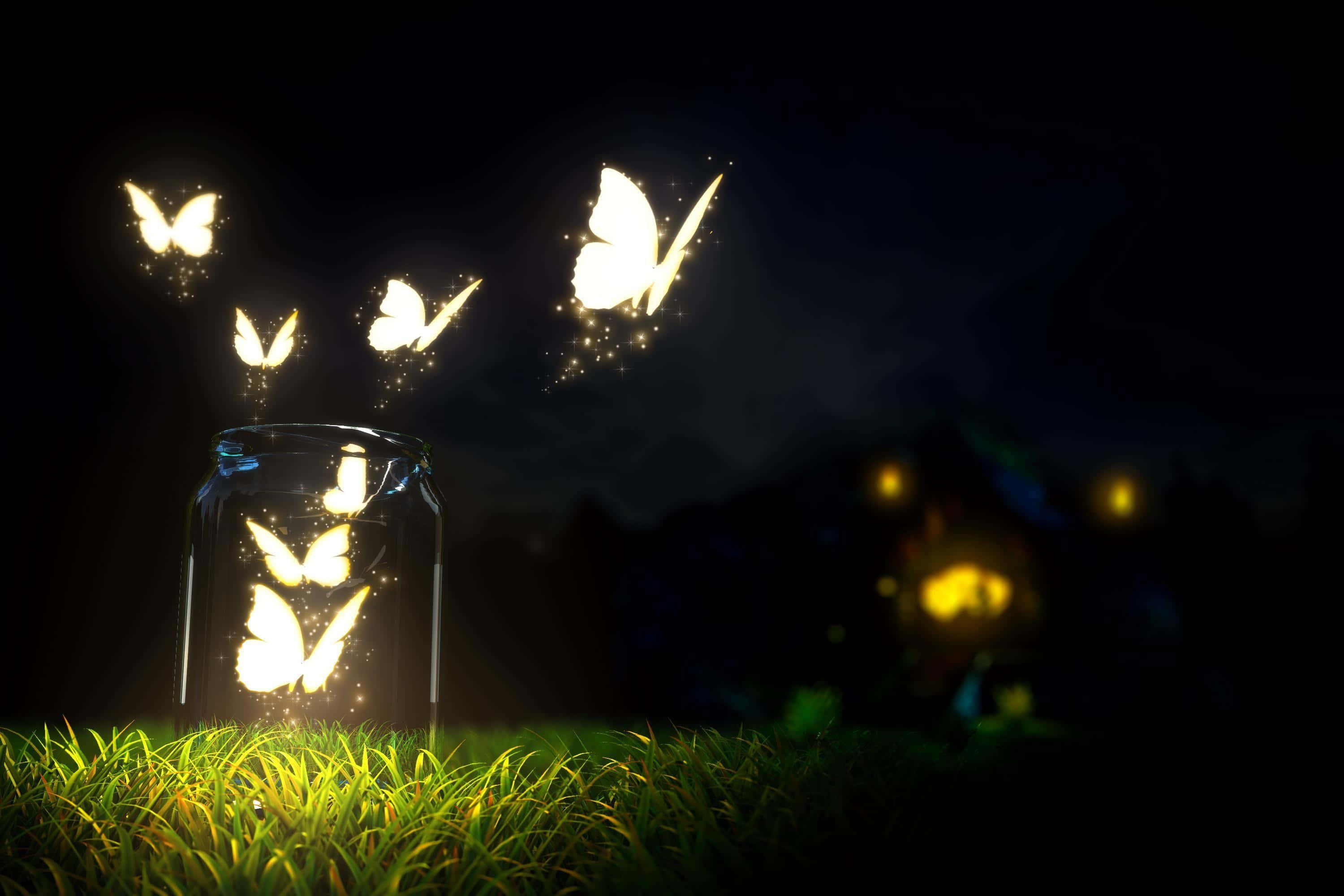 Dark Butterfly 3000, 2000, glass jar, 2K Desktop Wallpaper