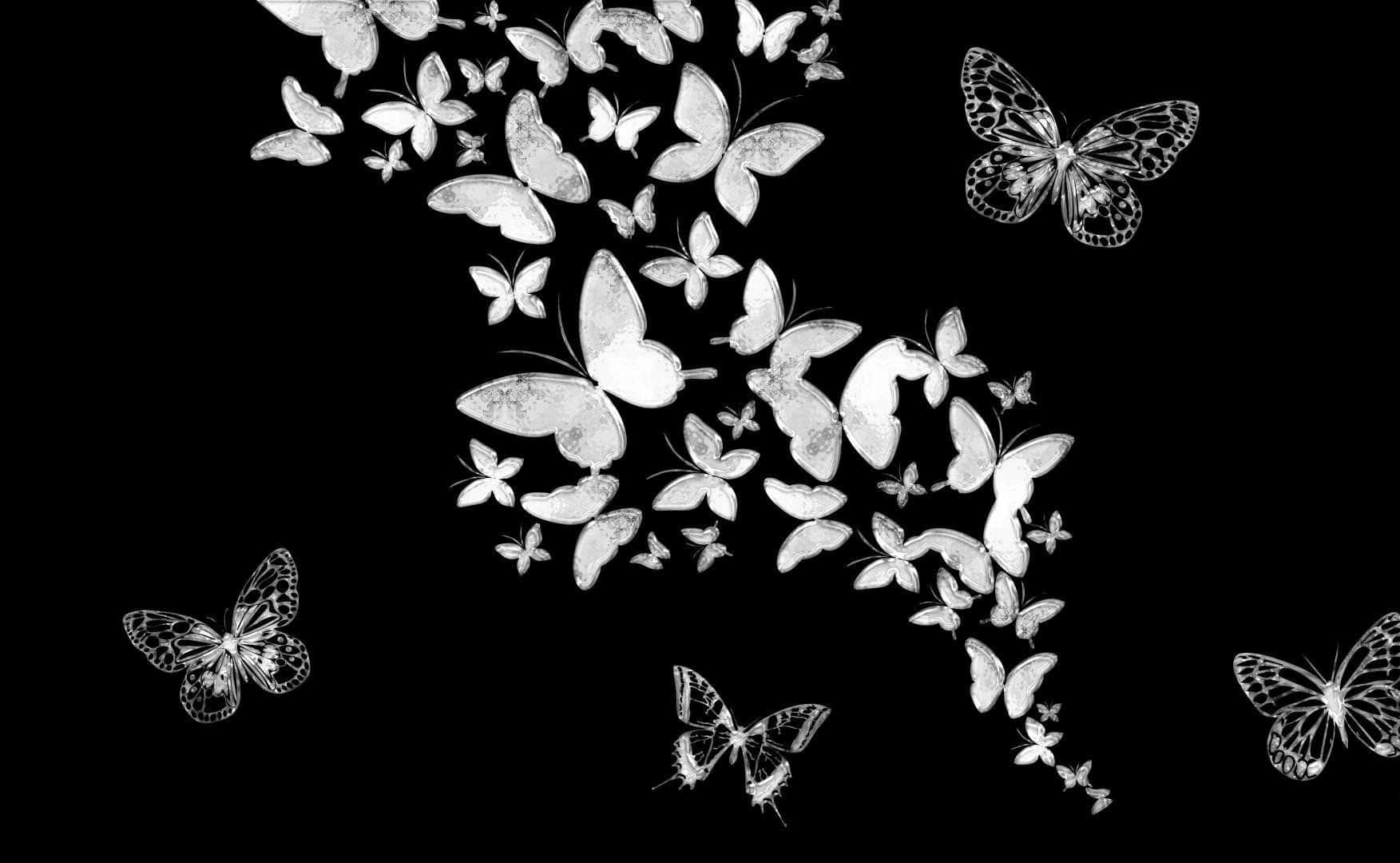 Dark Butterfly, silver butterflies, stark black background, HD Desktop Wallpaper