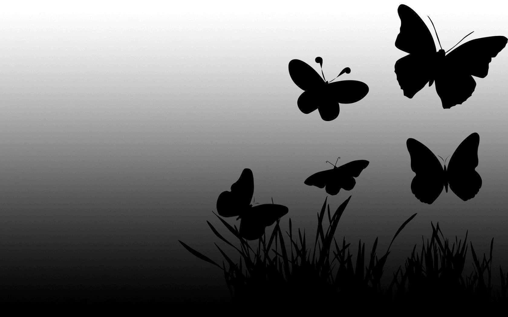 Dark Butterfly, black butterfly silhouettes, grass, HD Desktop Wallpaper