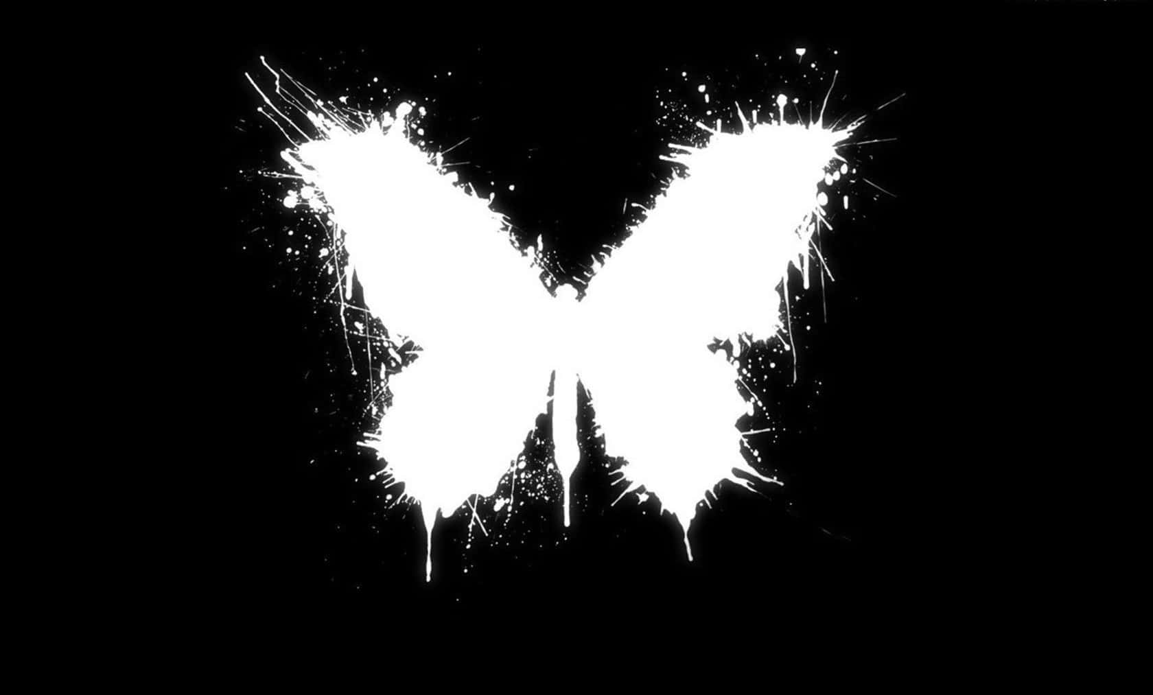 Dark Butterfly, white butterfly silhouette, splattered paint edges, HD Desktop Wallpaper
