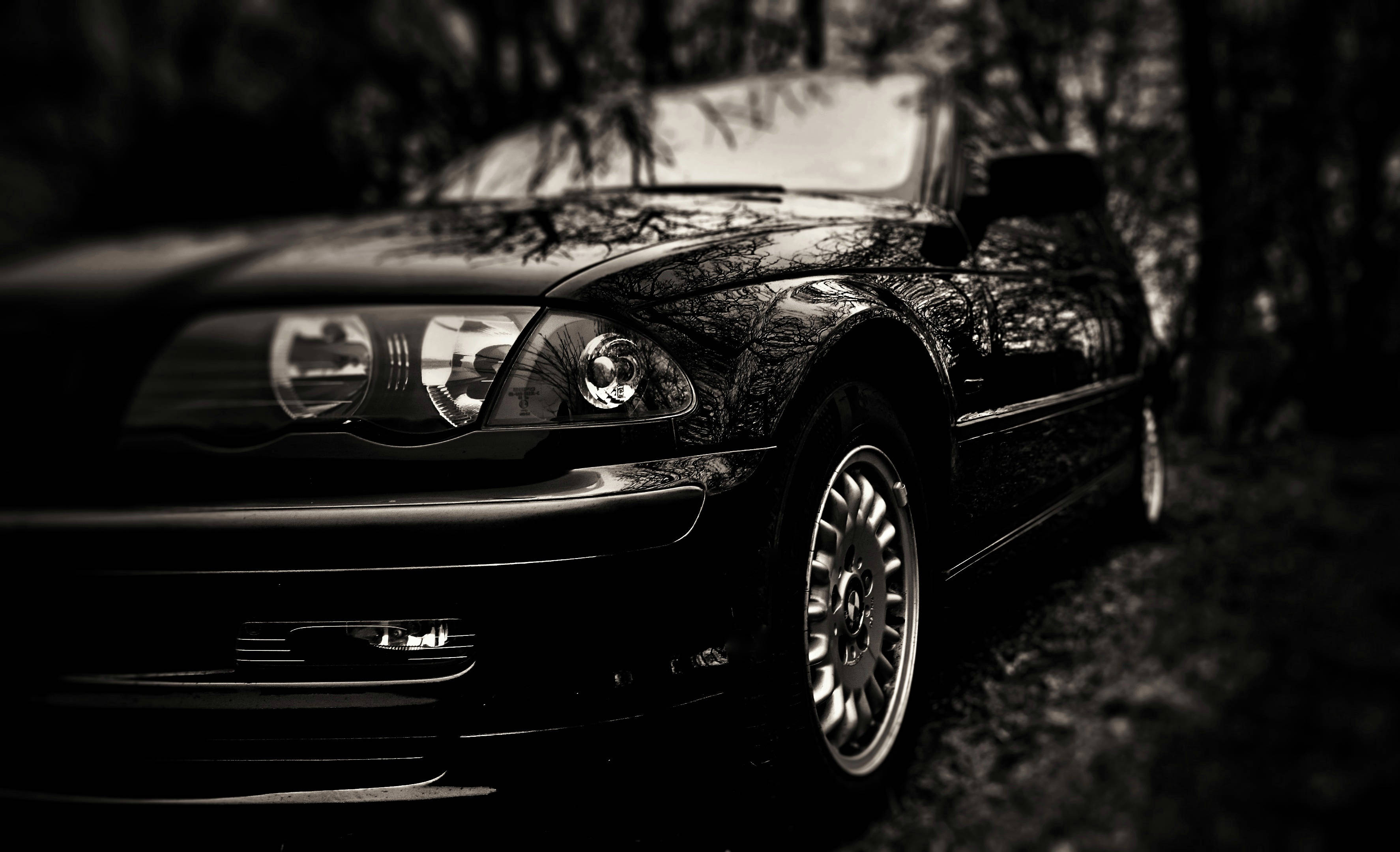 shiny black car, glossy hood, dim forest, 2K Desktop Wallpaper