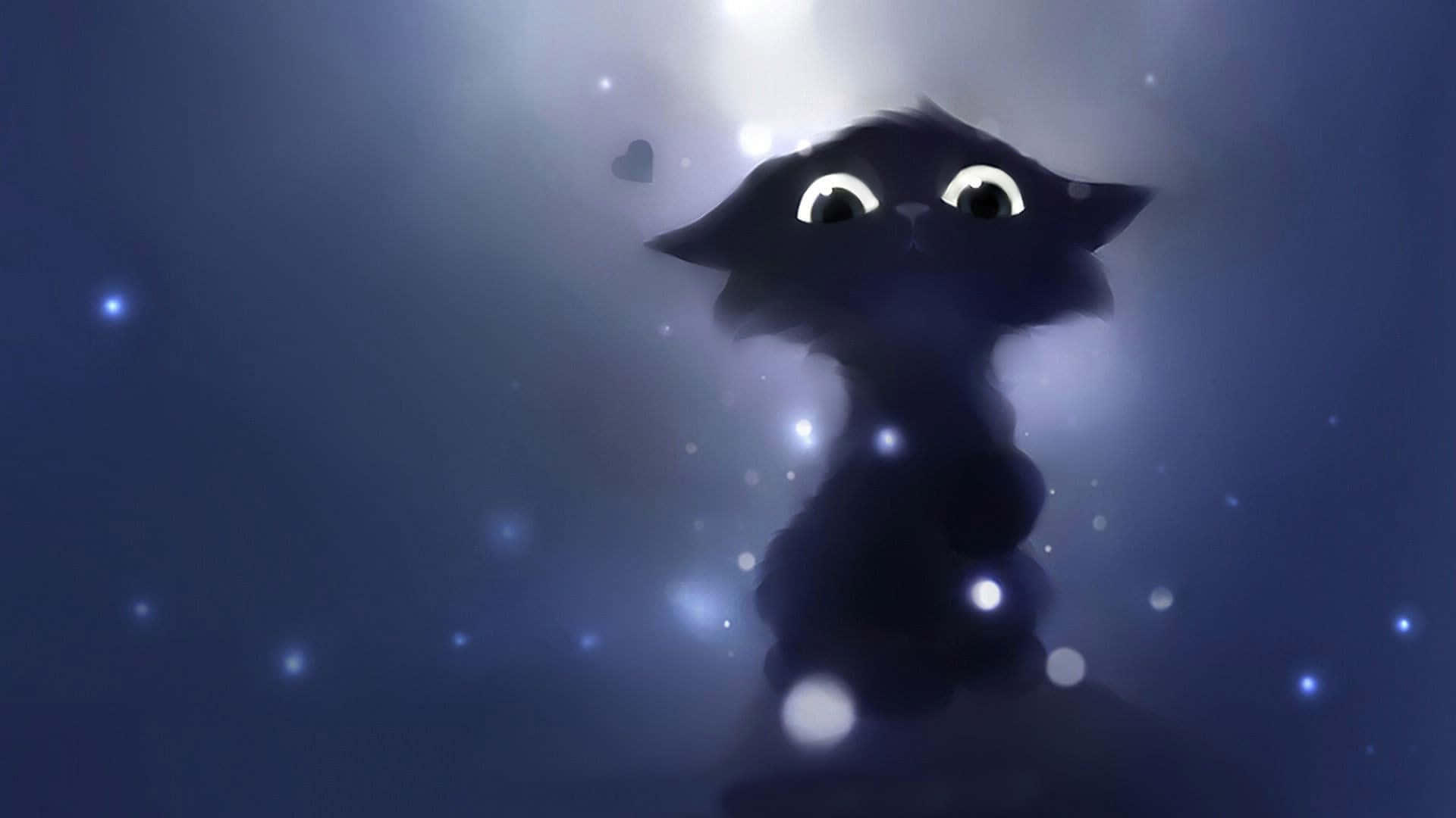 black cat, starry sky, glowing eyes, Full HD Desktop Wallpaper