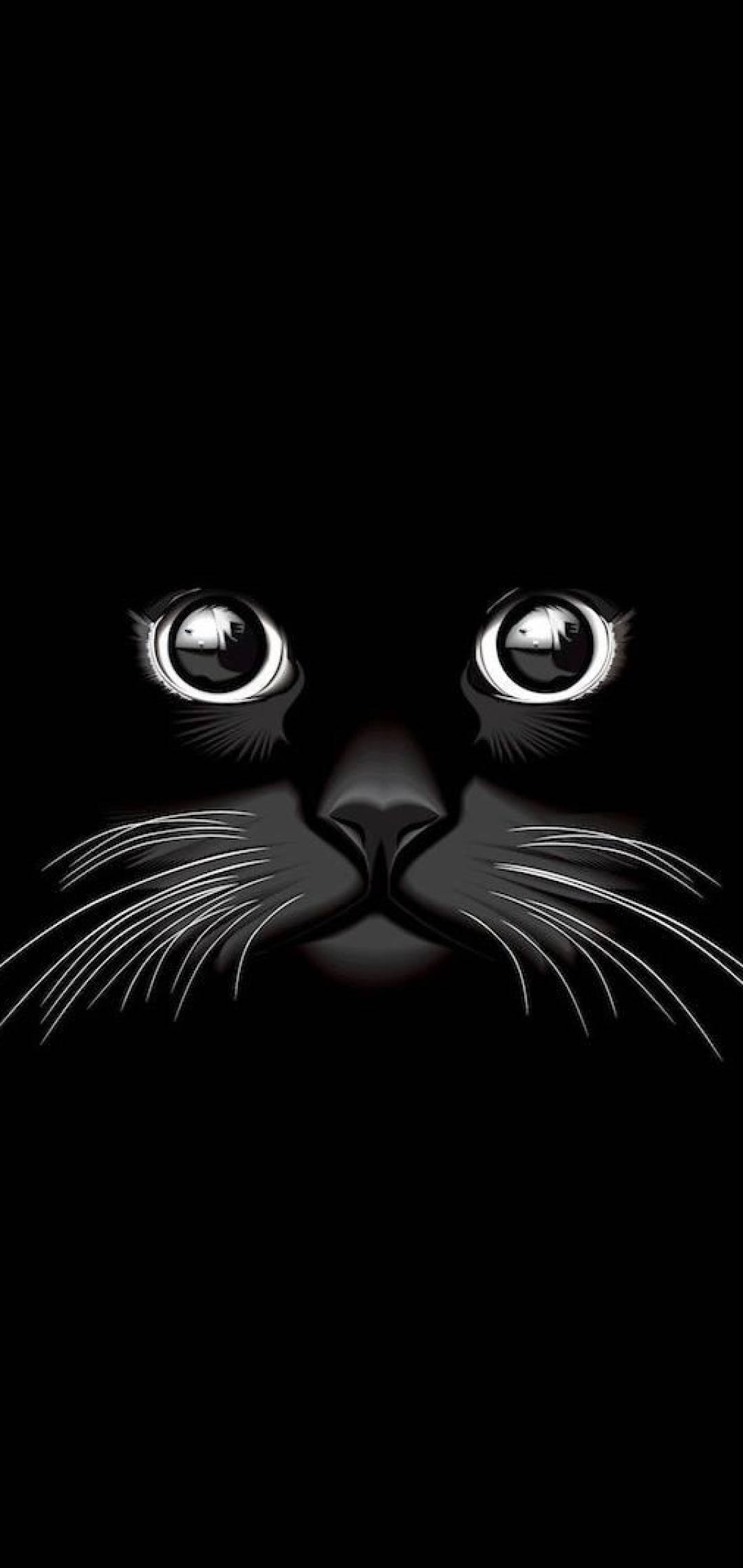 Cool Black Cat, black cat, glowing white eyes, Full HD Phone Wallpaper