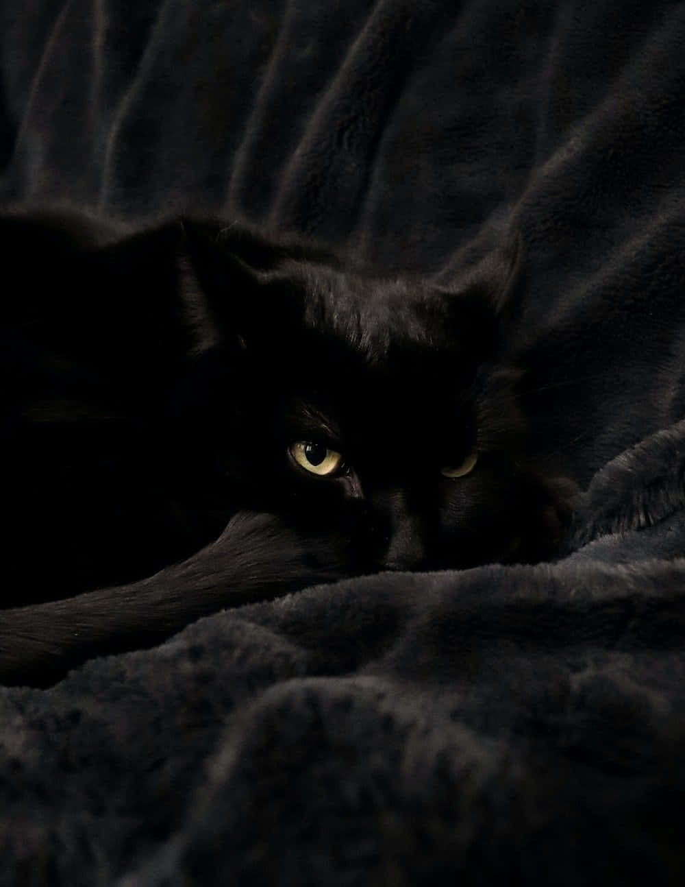 black cat, glowing yellow eyes, dark textured blanket, HD Phone Wallpaper