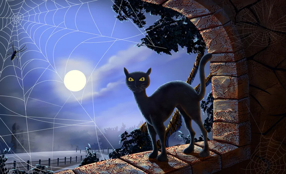 Black Cat Halloween
