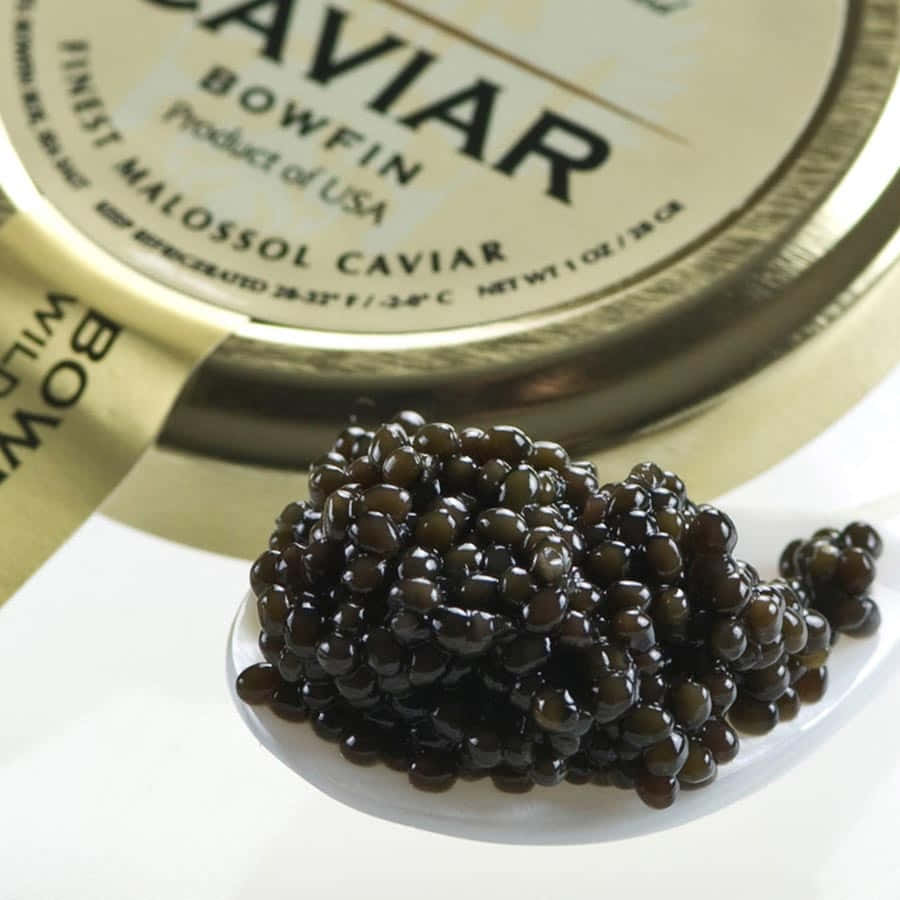 Black Caviar, gold-lidded jar, white plate, SD Desktop Wallpaper