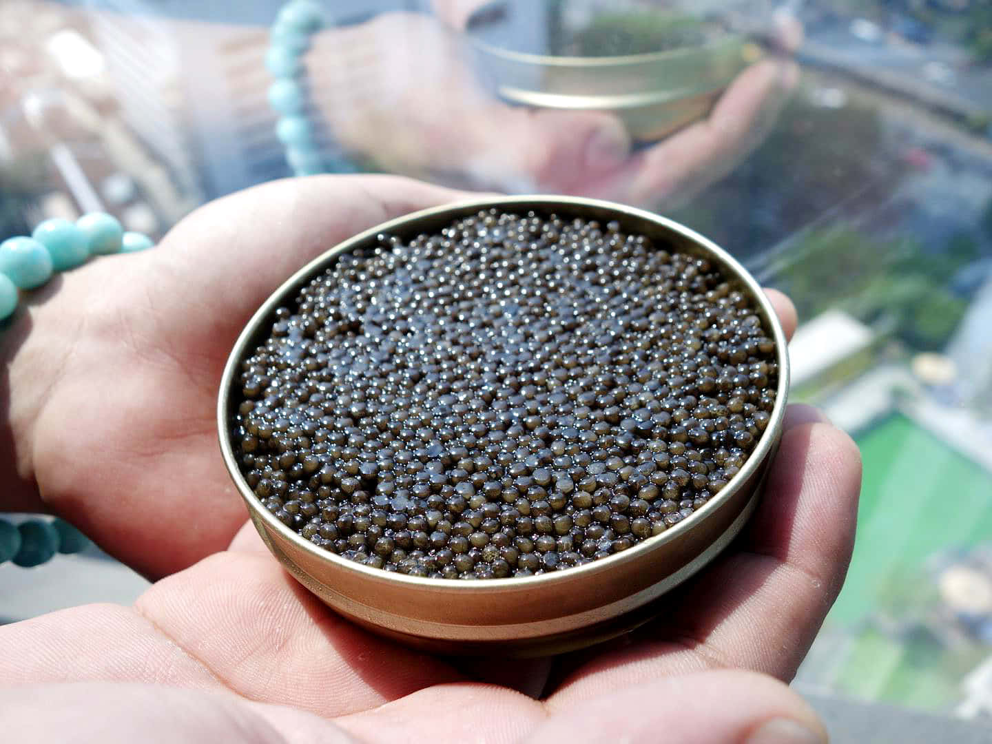black Caviar, golden tin, glistening black caviar, HD Desktop Wallpaper