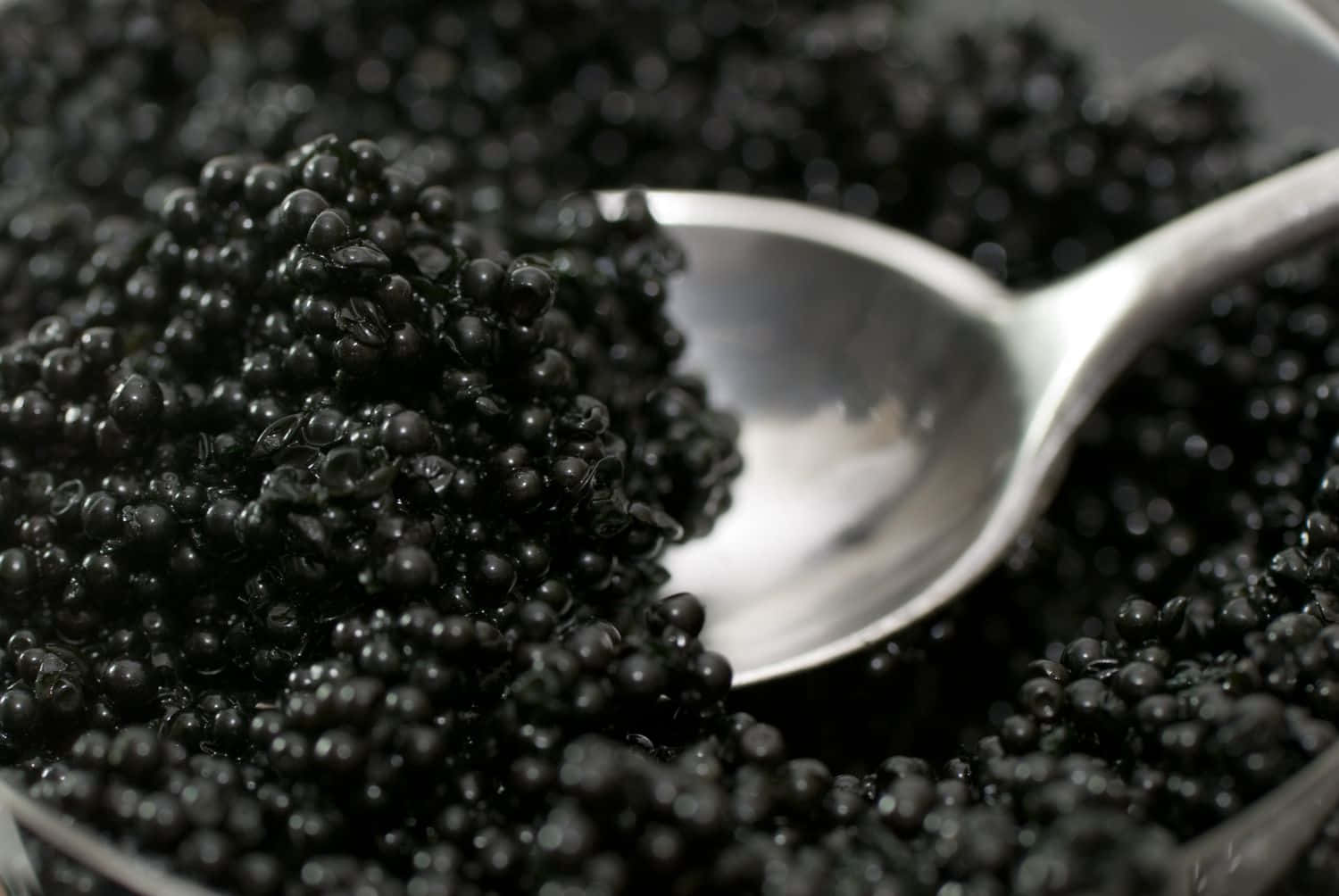 Black Caviar, silver spoon, glistening black caviar, HD Desktop Wallpaper