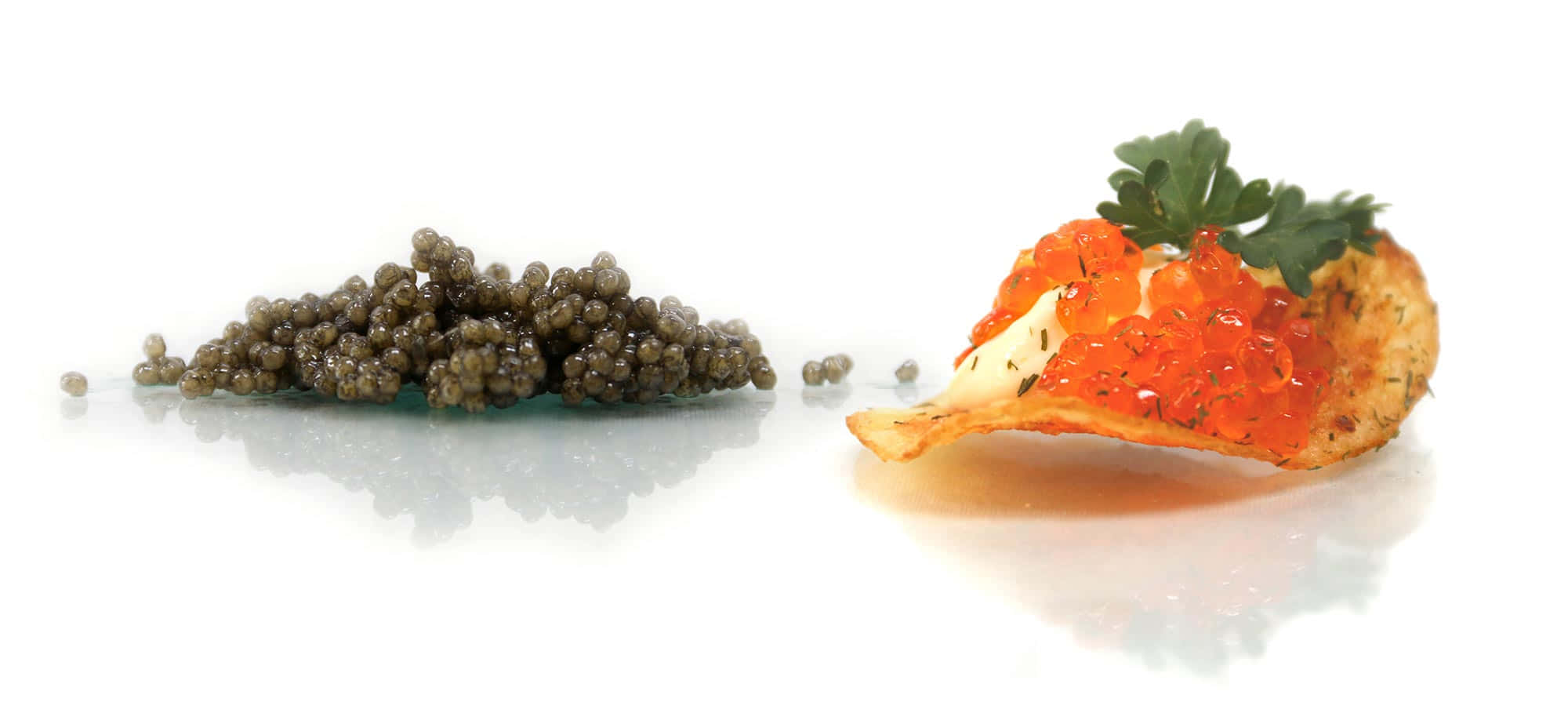 Black Caviar, orange caviar, white reflective surface, Full HD Desktop Wallpaper