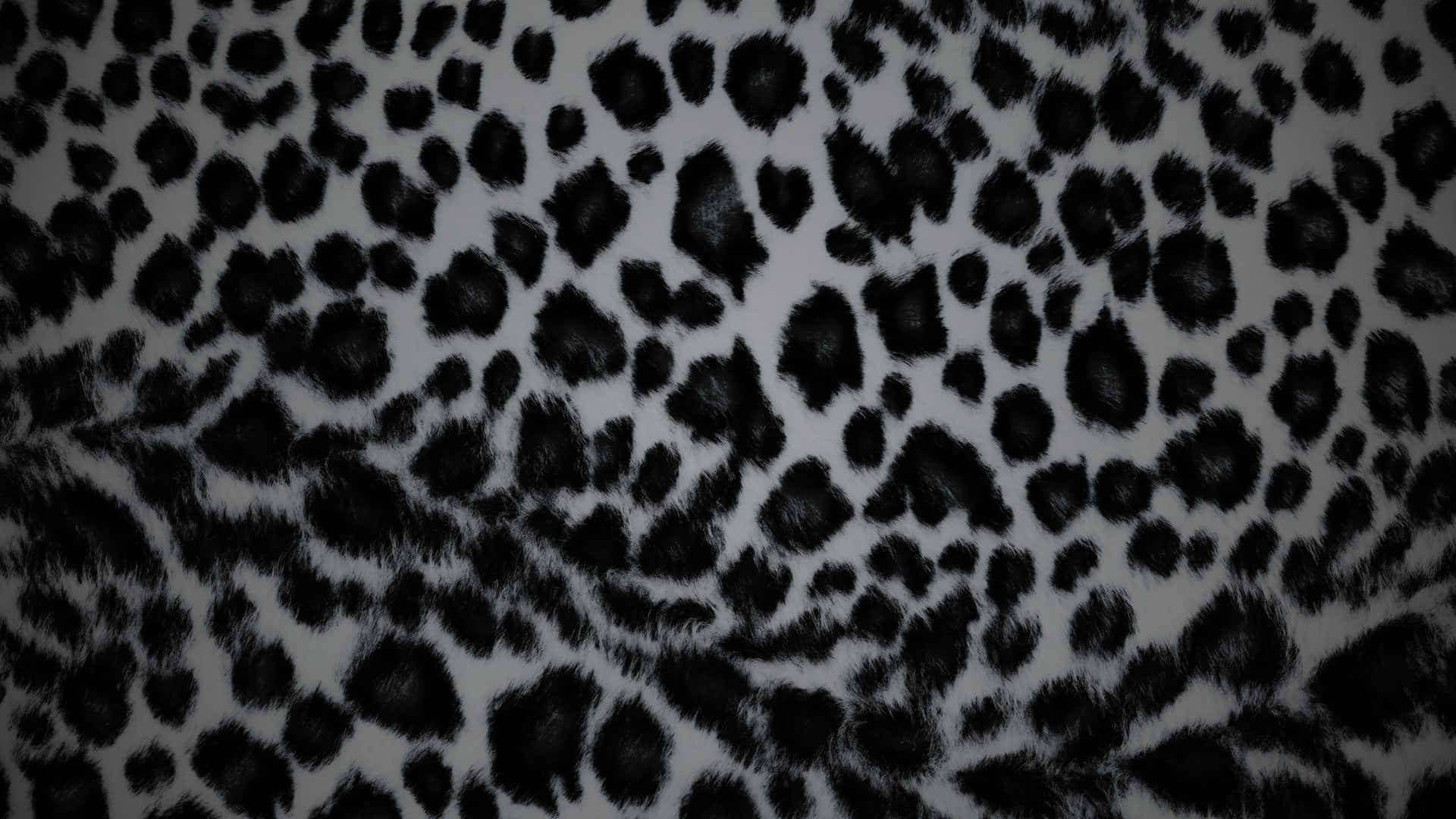 Black Cheetah Print, leopard print, black and white, Full HD Desktop Wallpaper