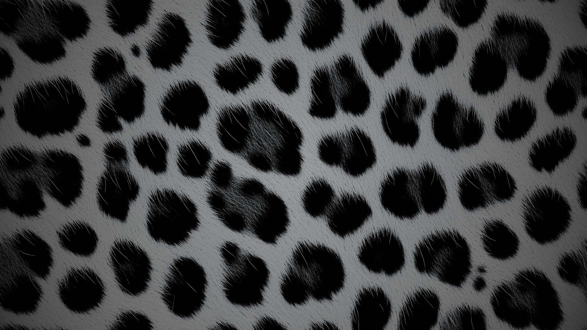 black cheetah print, leopard print pattern, black and white, Full HD Desktop Wallpaper