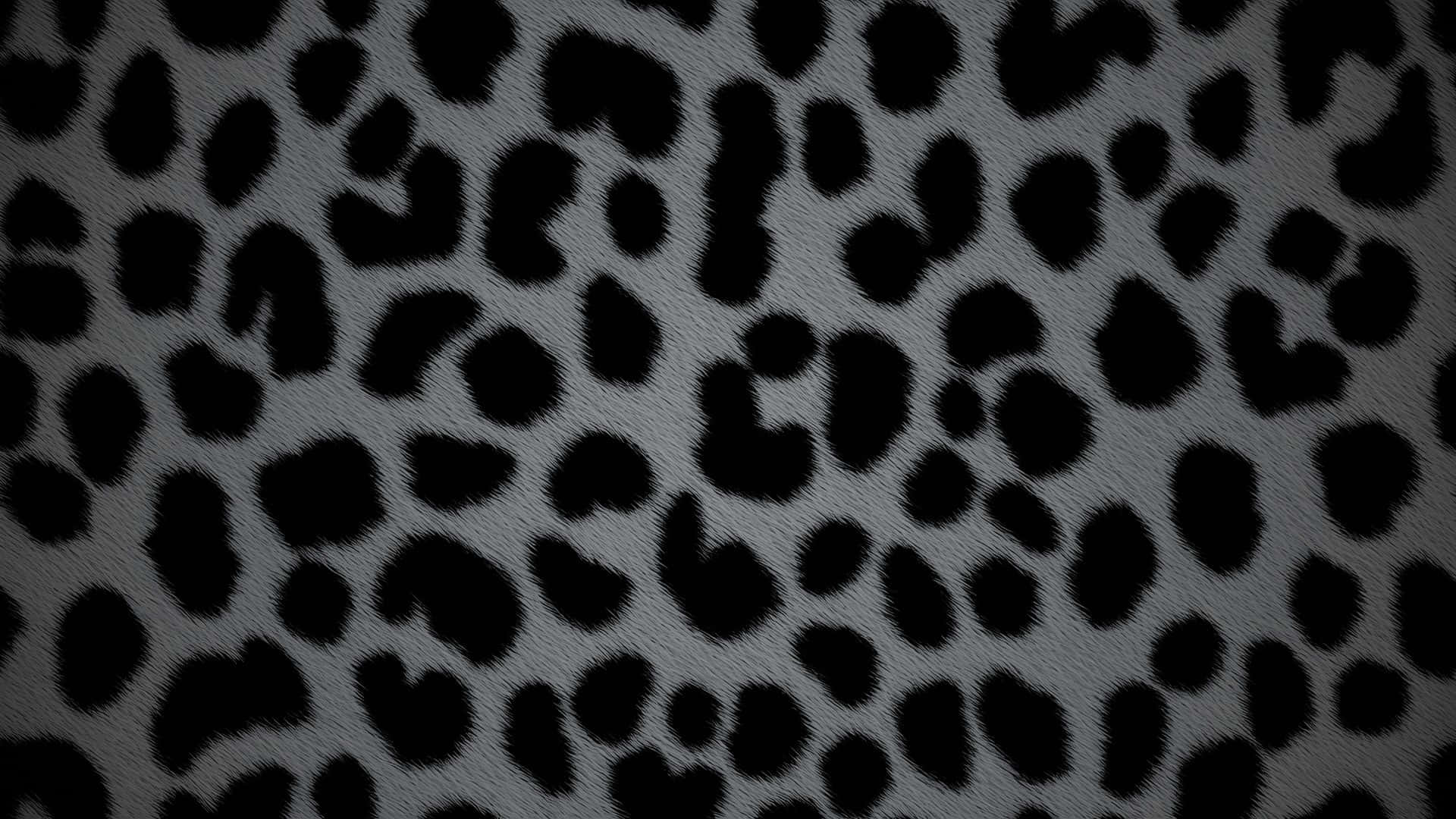 Black Cheetah Print Pattern, gray fabric, bold black leopard spots, Full HD Desktop Wallpaper
