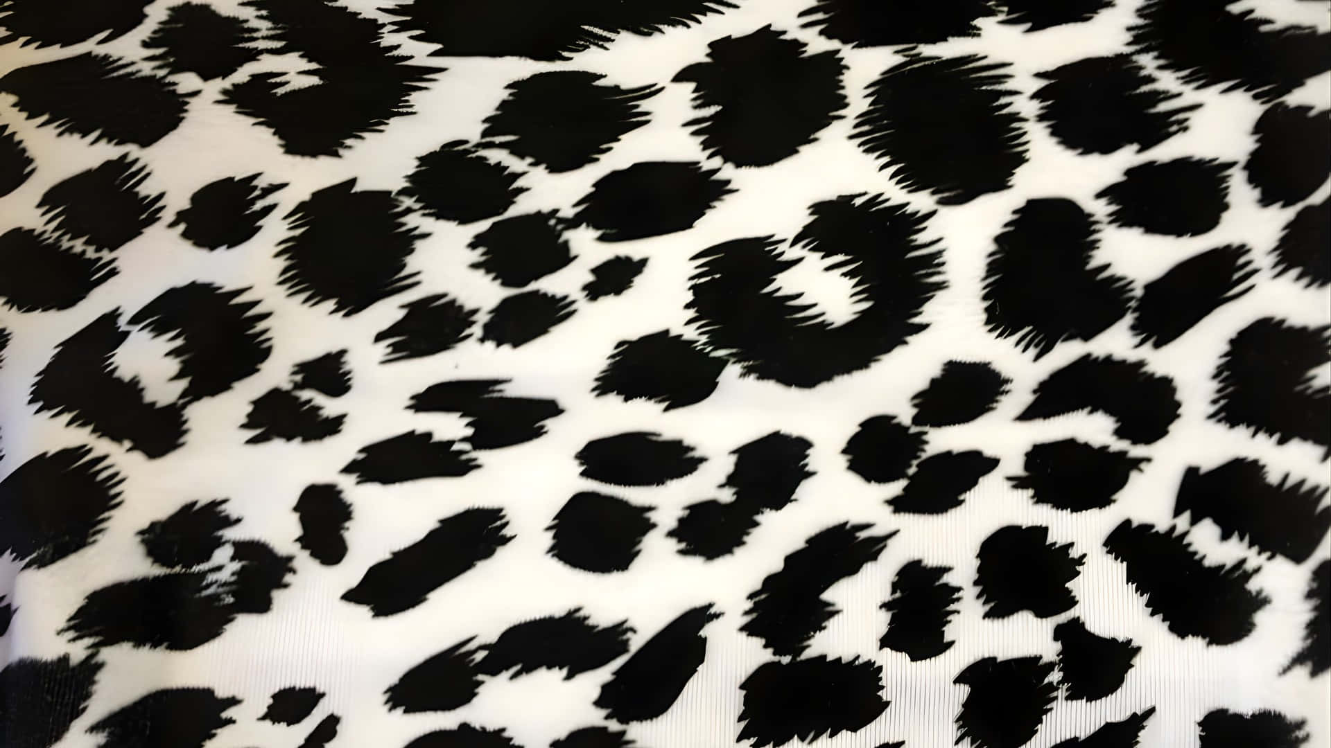 Black Cheetah Print, bold black leopard spots, crisp white fabric surface, Full HD Desktop Wallpaper