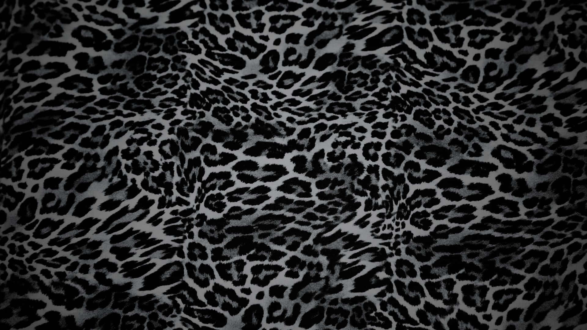 Black Cheetah Print, leopard print fabric, black and gray, Full HD Desktop Wallpaper