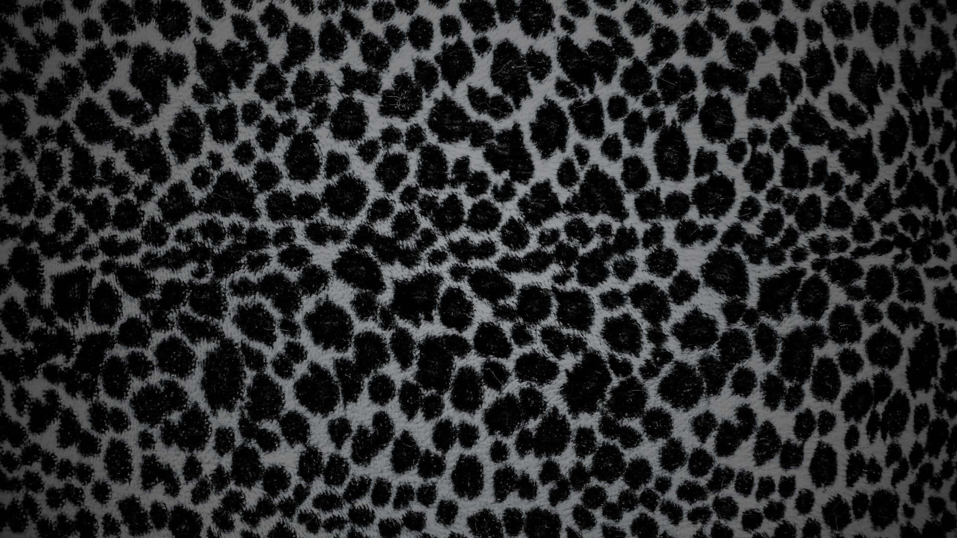 Black Cheetah Print Pattern, soft gray fabric, black leopard spots, Full HD Desktop Wallpaper