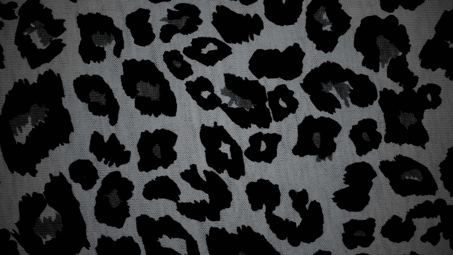 Black Cheetah Print, gray fabric, bold black leopard spots, Full HD Desktop Wallpaper