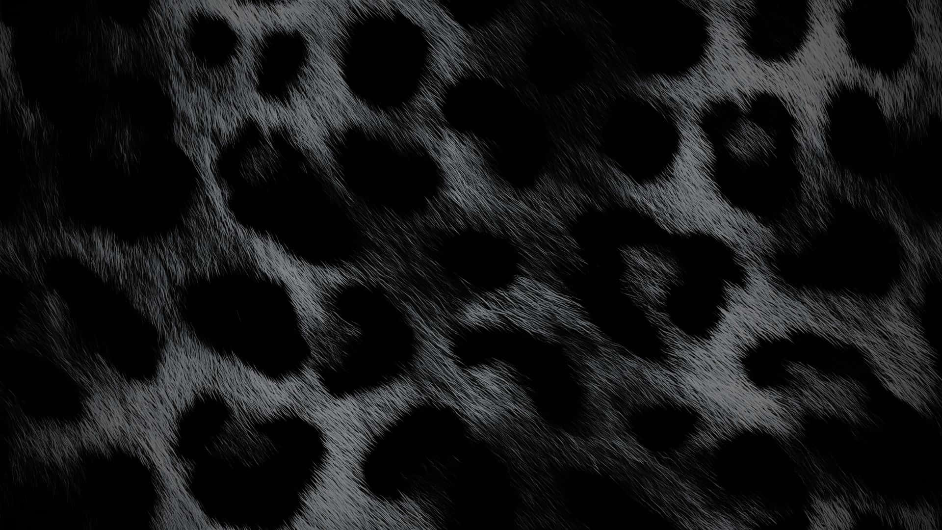 Black Cheetah Print, leopard print pattern, black and gray, Full HD Desktop Wallpaper