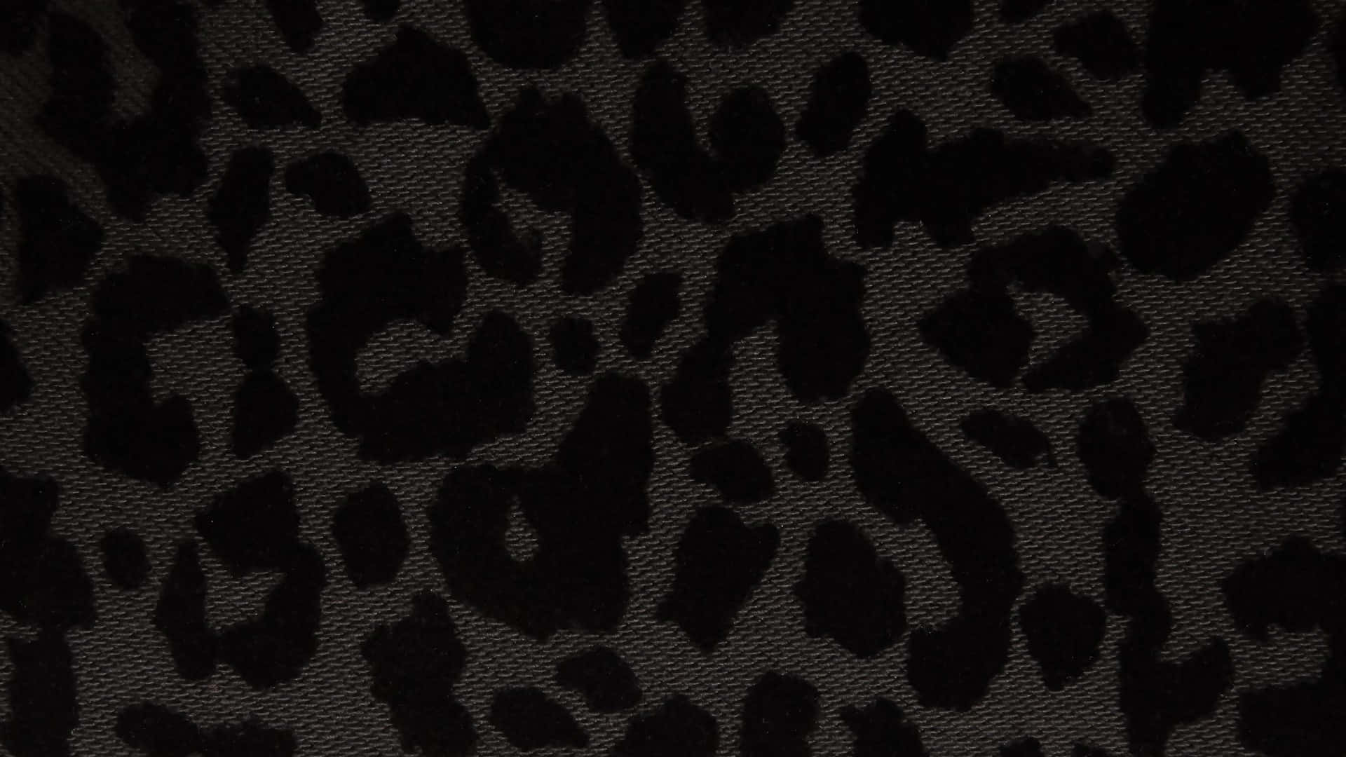 Black Cheetah Print, dark gray fabric, bold black leopard spots, Full HD Desktop Wallpaper