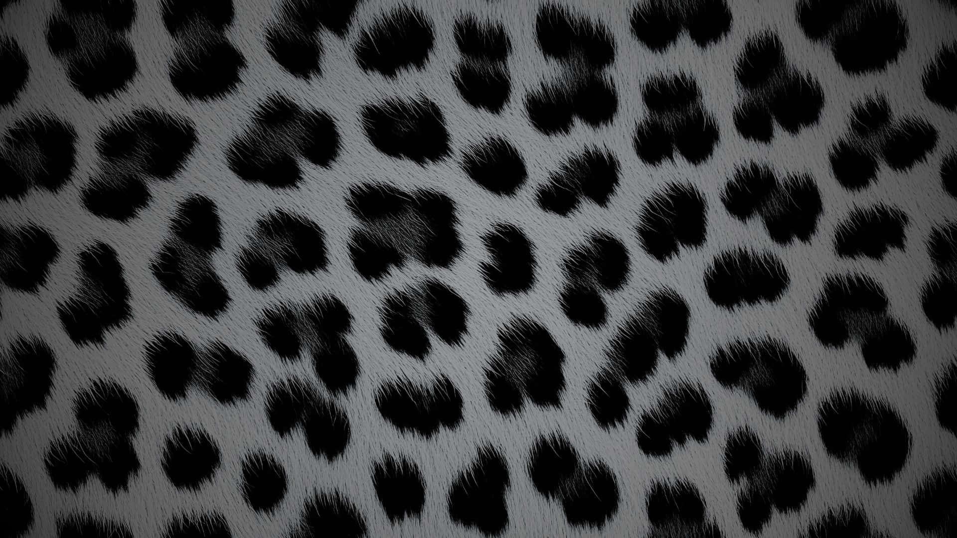 Black Cheetah Print Pattern, textured gray fabric, bold black leopard spots, Full HD Desktop Wallpaper