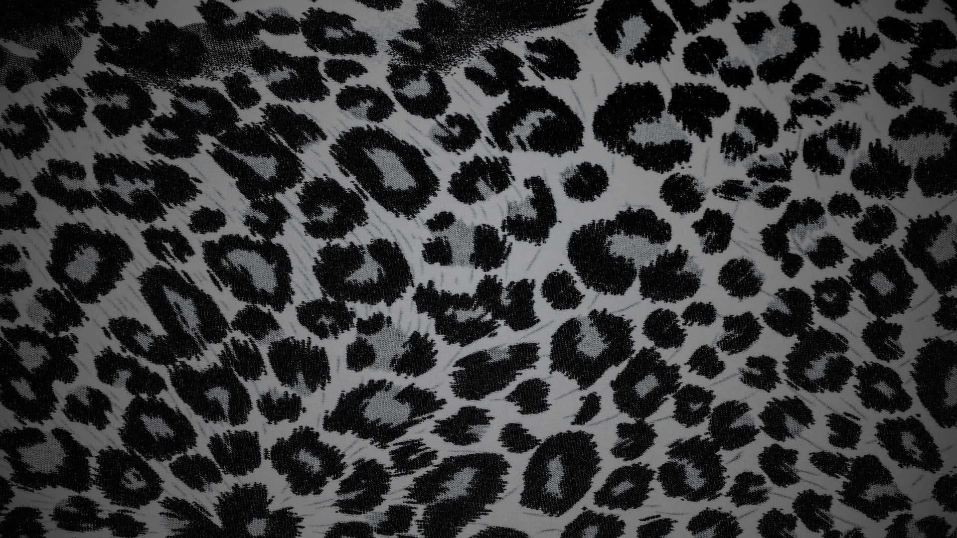 Black Cheetah Print Pattern, textured black and white leopard print fabric, visible brushstroke details, Full HD Desktop Wallpaper