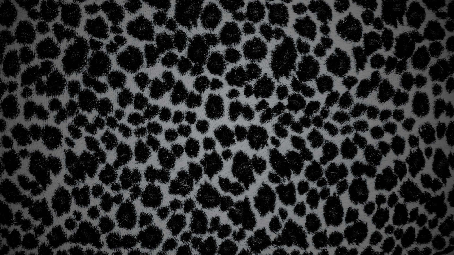 black cheetah print, leopard print fabric, textured fur-like surface, Full HD Desktop Wallpaper