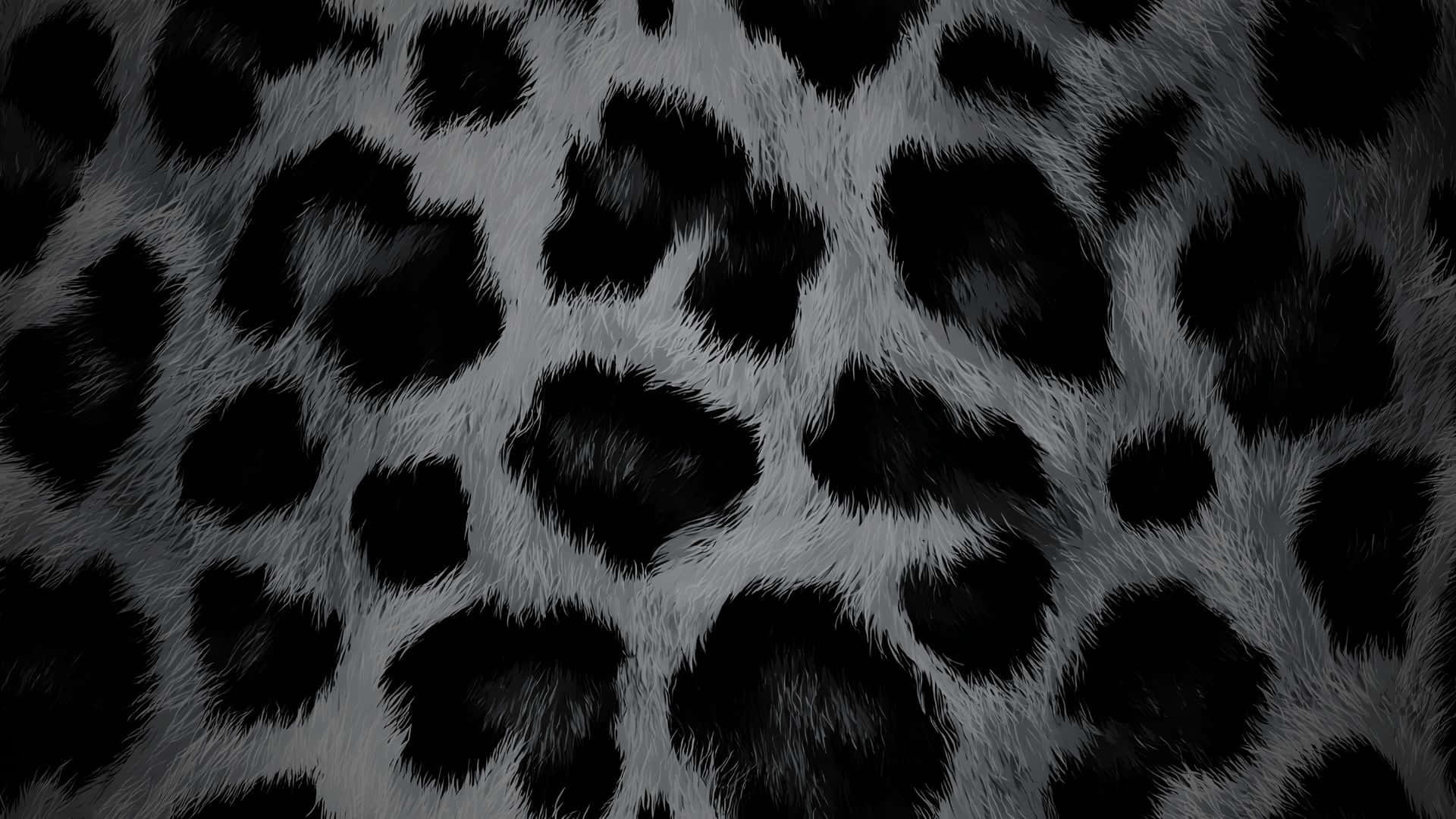 Black Cheetah Print, black and white spotted, animal fur texture, Full HD Desktop Wallpaper