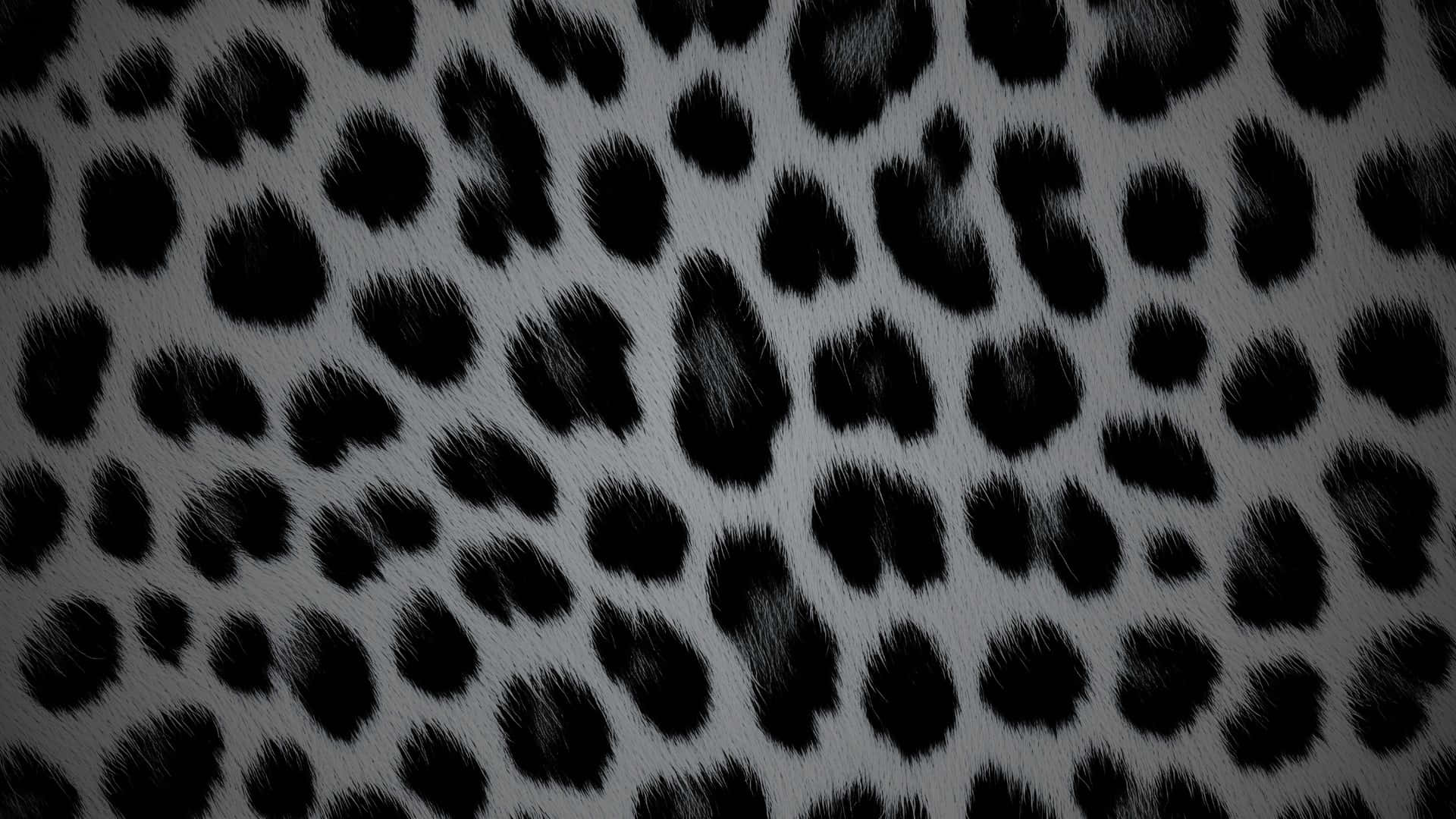 Black Cheetah Print Pattern, textured fabric, bold black leopard spots, Full HD Desktop Wallpaper