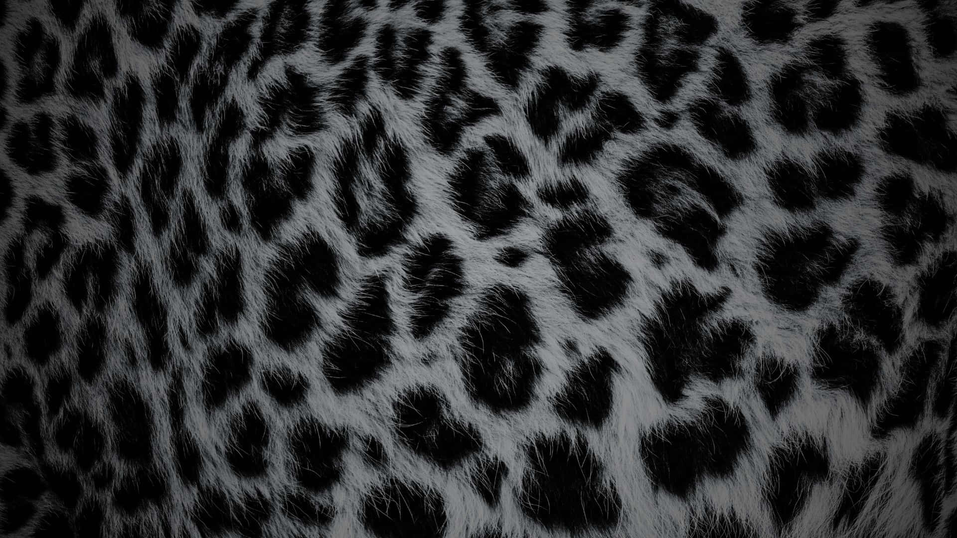 black cheetah print, leopard print, black and white, Full HD Desktop Wallpaper
